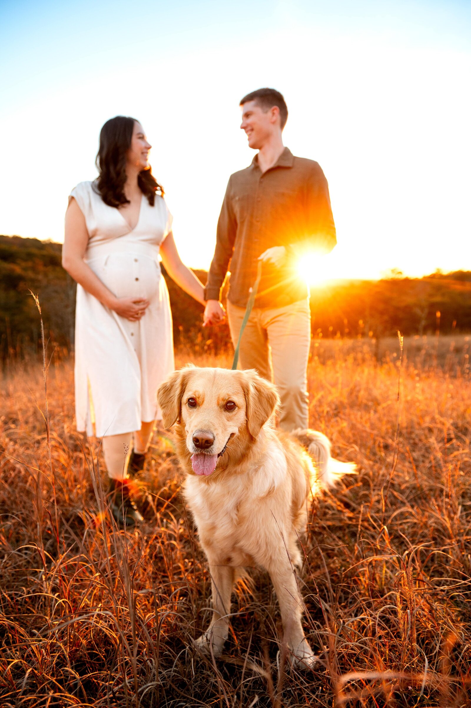 Pregnant wife and husband walking their dog in a tall grassy field