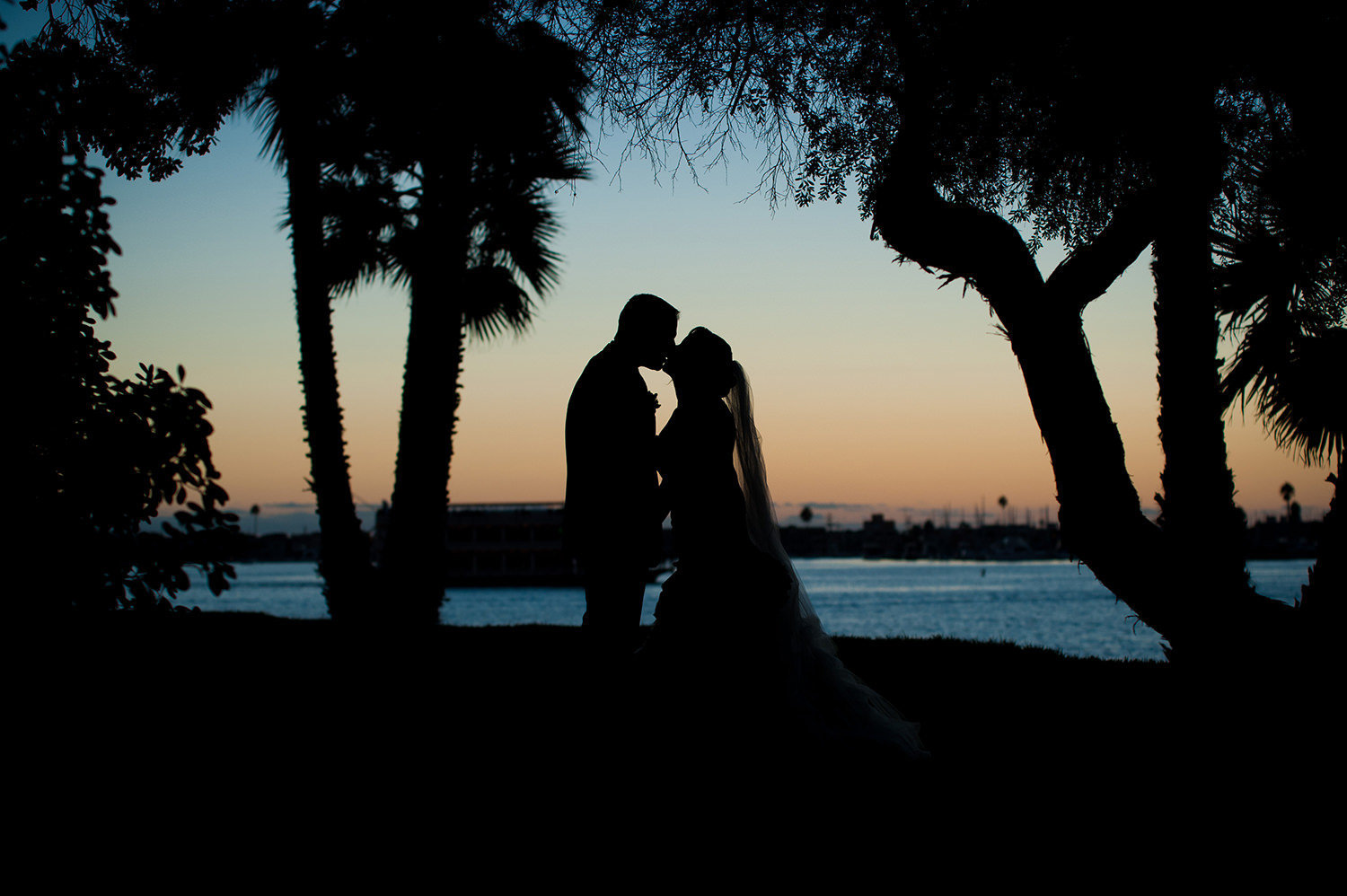 A romantic silhouette through the trees at Paradise Point Resort