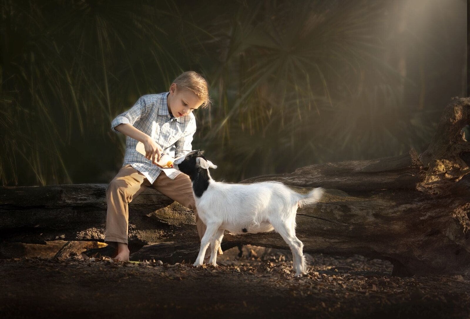 lilla-bordas-portraits-tampaKIDS-AND-PETS-photographer1817_1