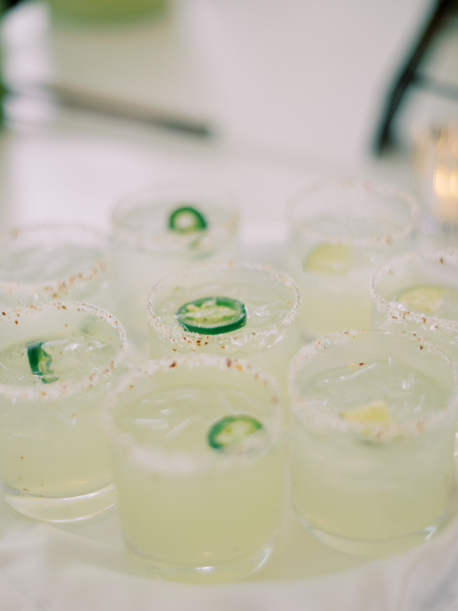 mystic_ct_wedding_eolia_mansion_090