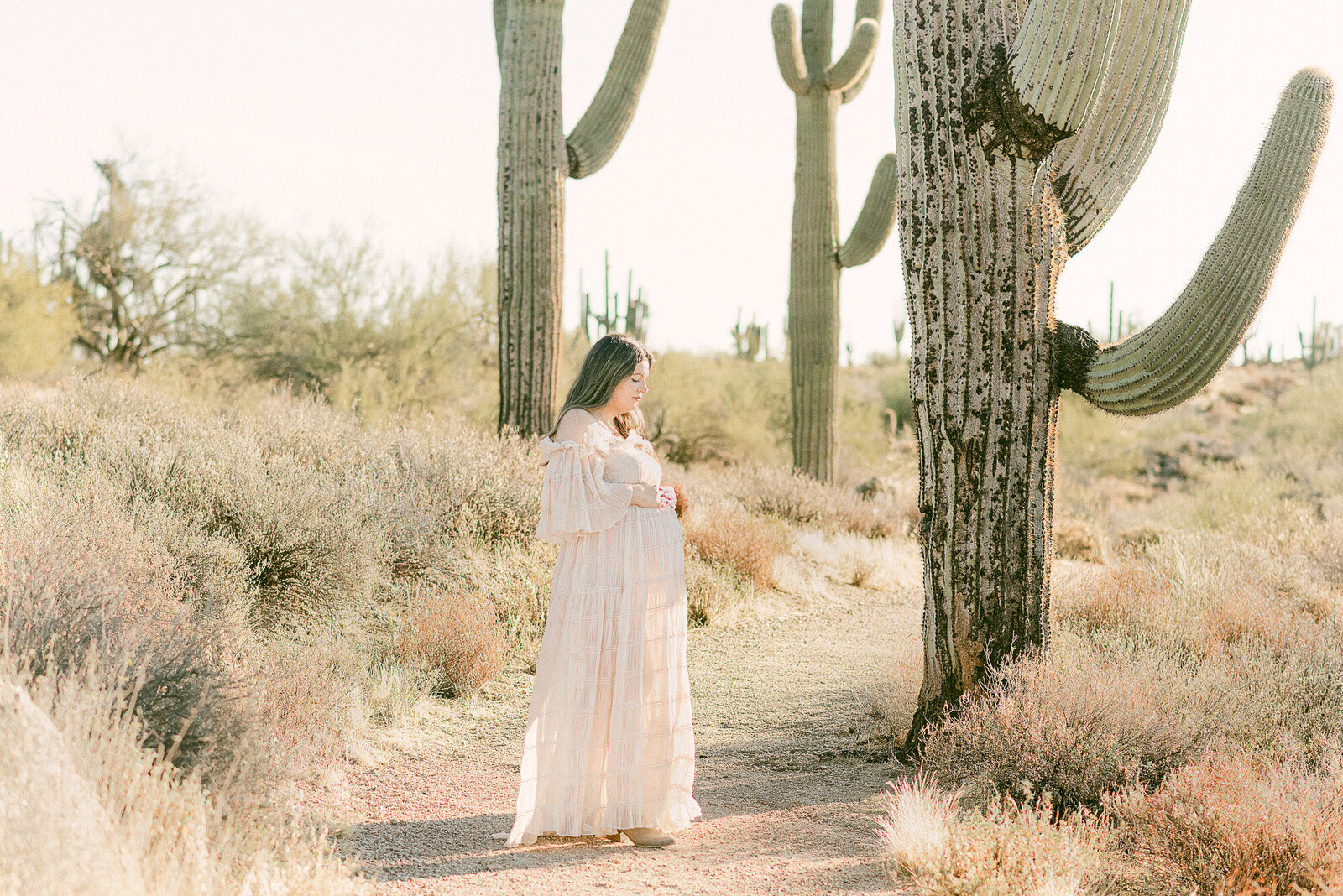phoenix-maternity-photographer-488