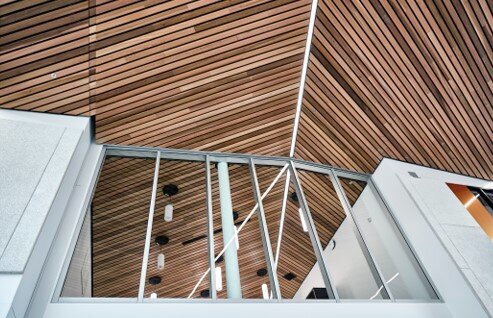 willow school 6