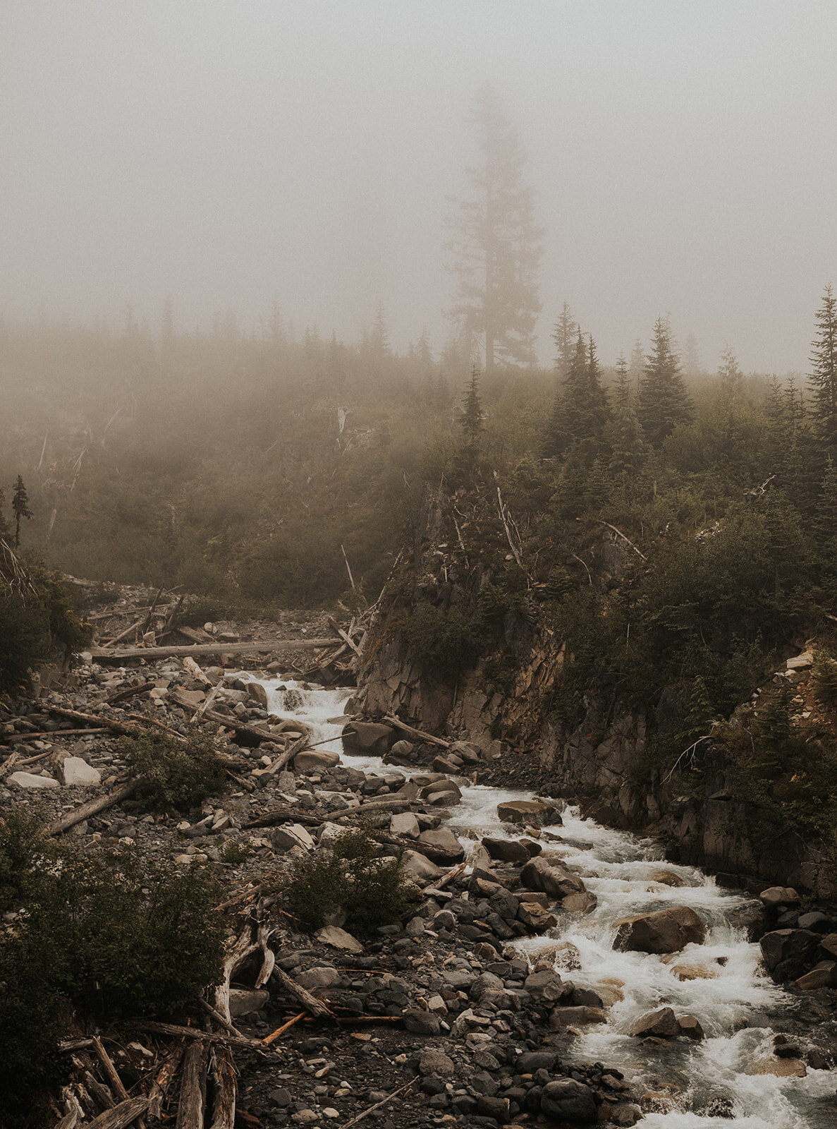 secondshootmtrainier-33