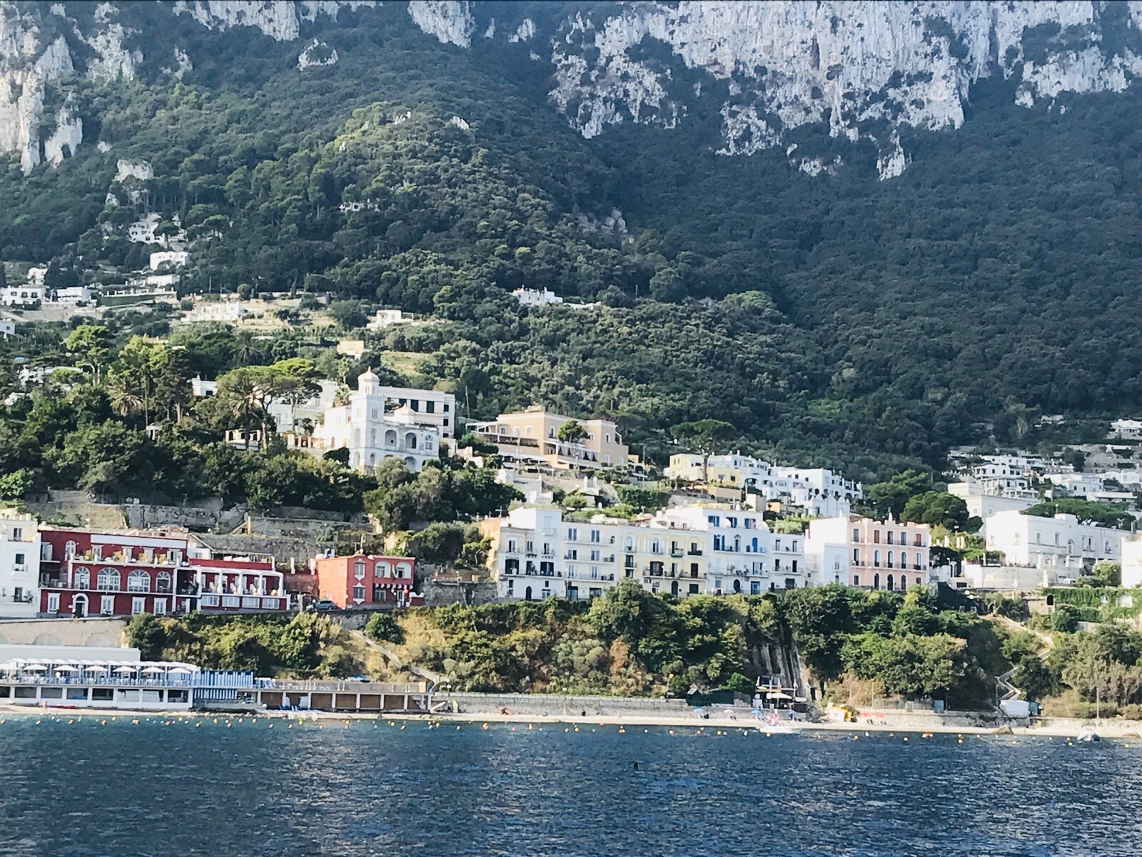 IMG_7917