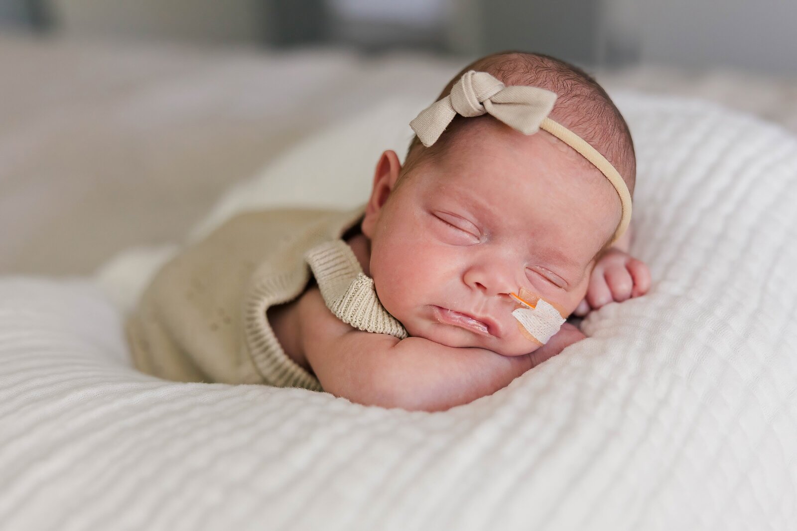 bay area lifestyle newborn photographer