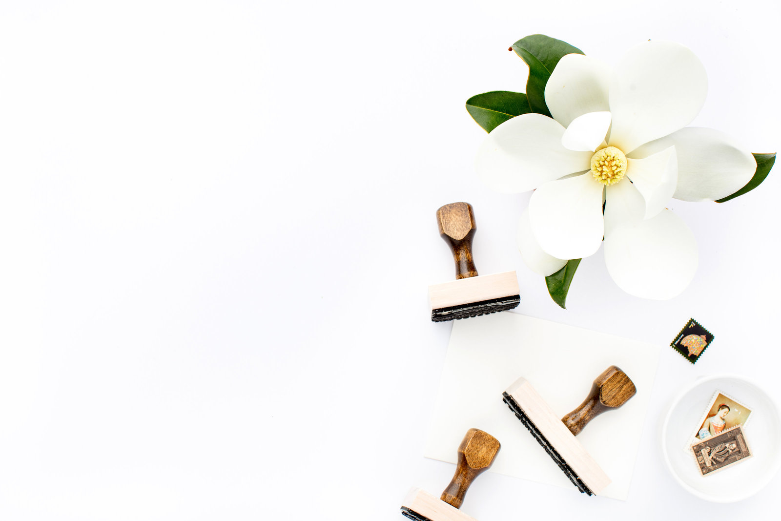 Magnolia Stock Images_SC Stockshop-2