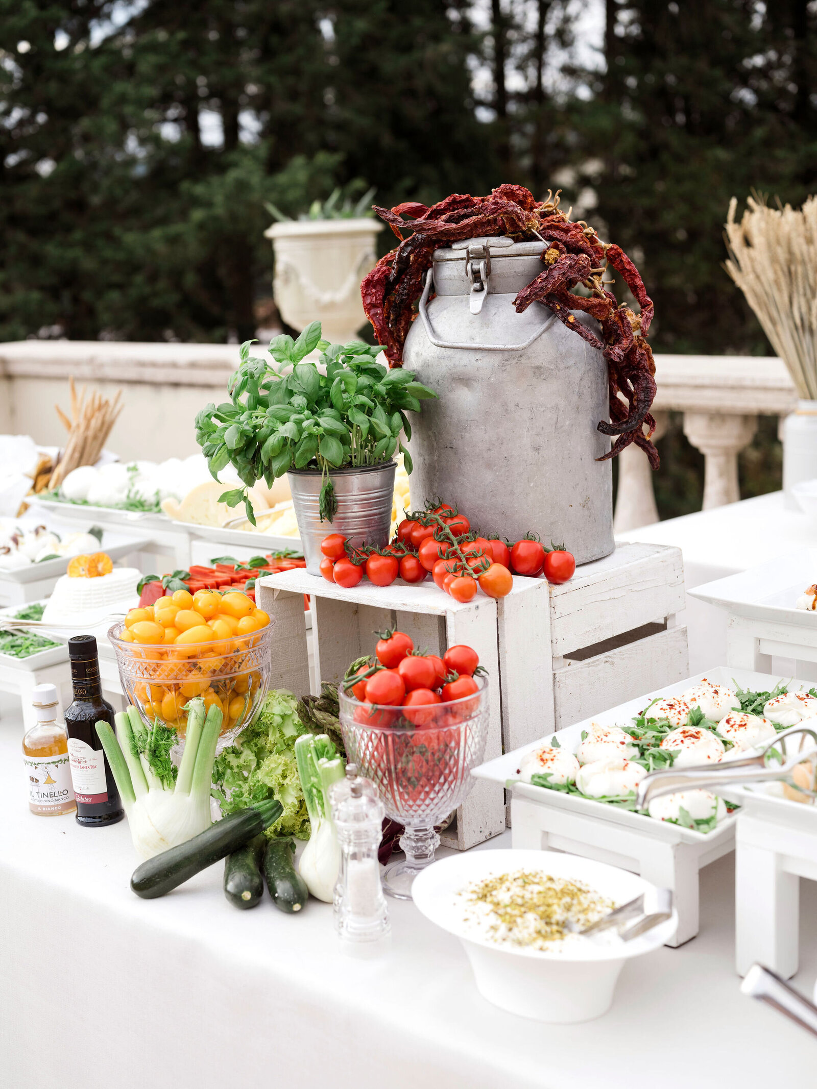 182_manuelle_robin_wedding_preview