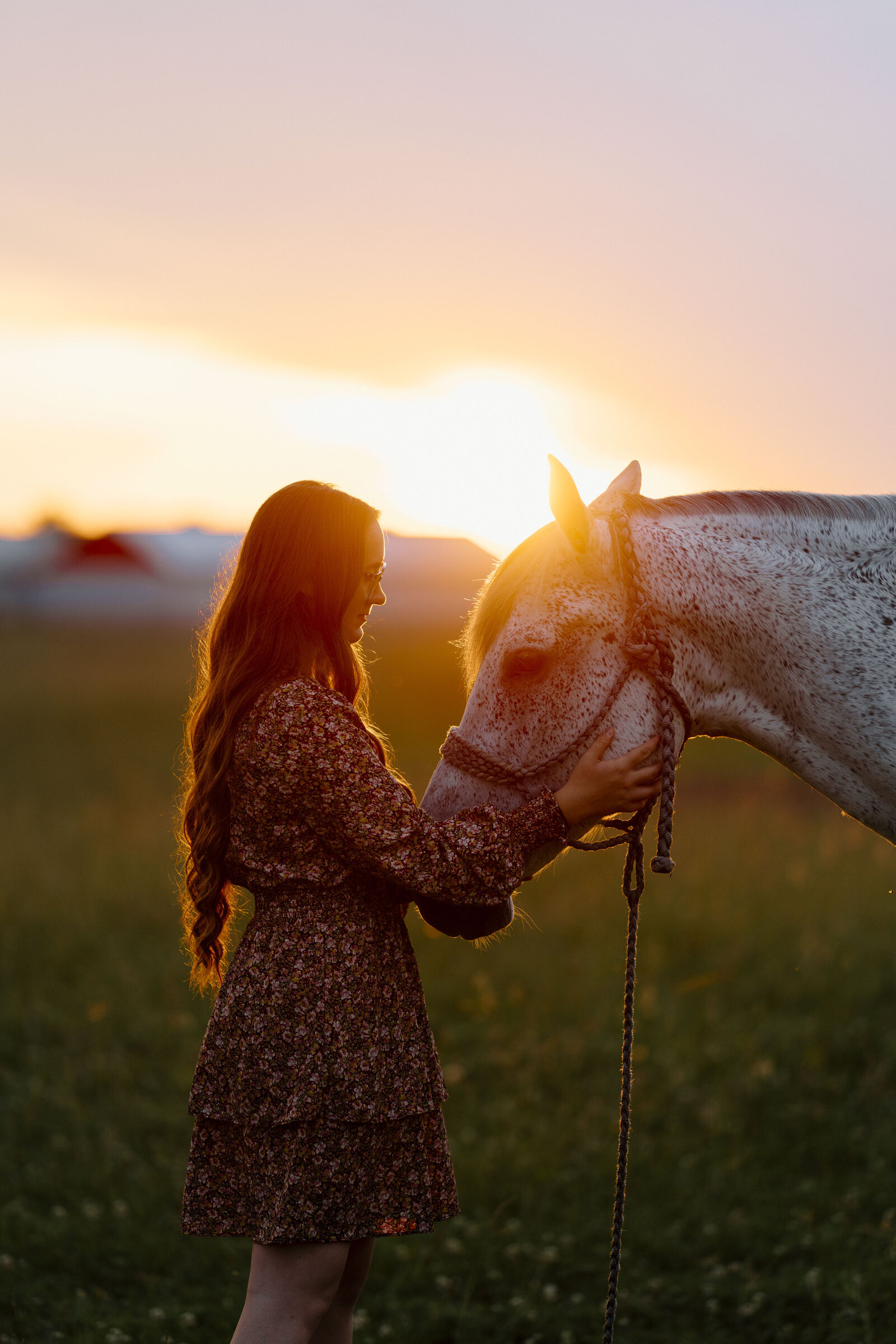 a girl in a field at sunset facing her horse and petting its cheek