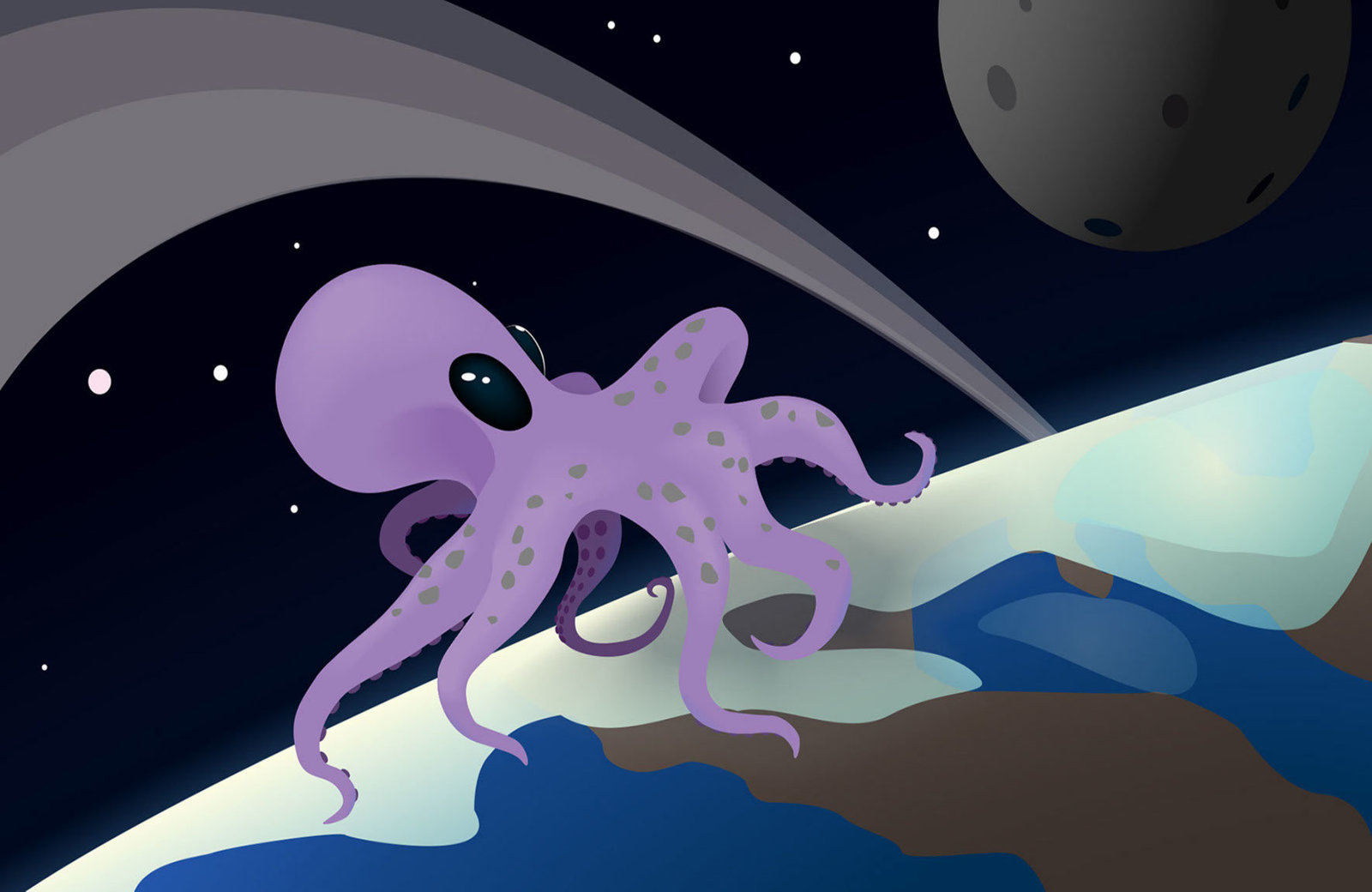 Octopus