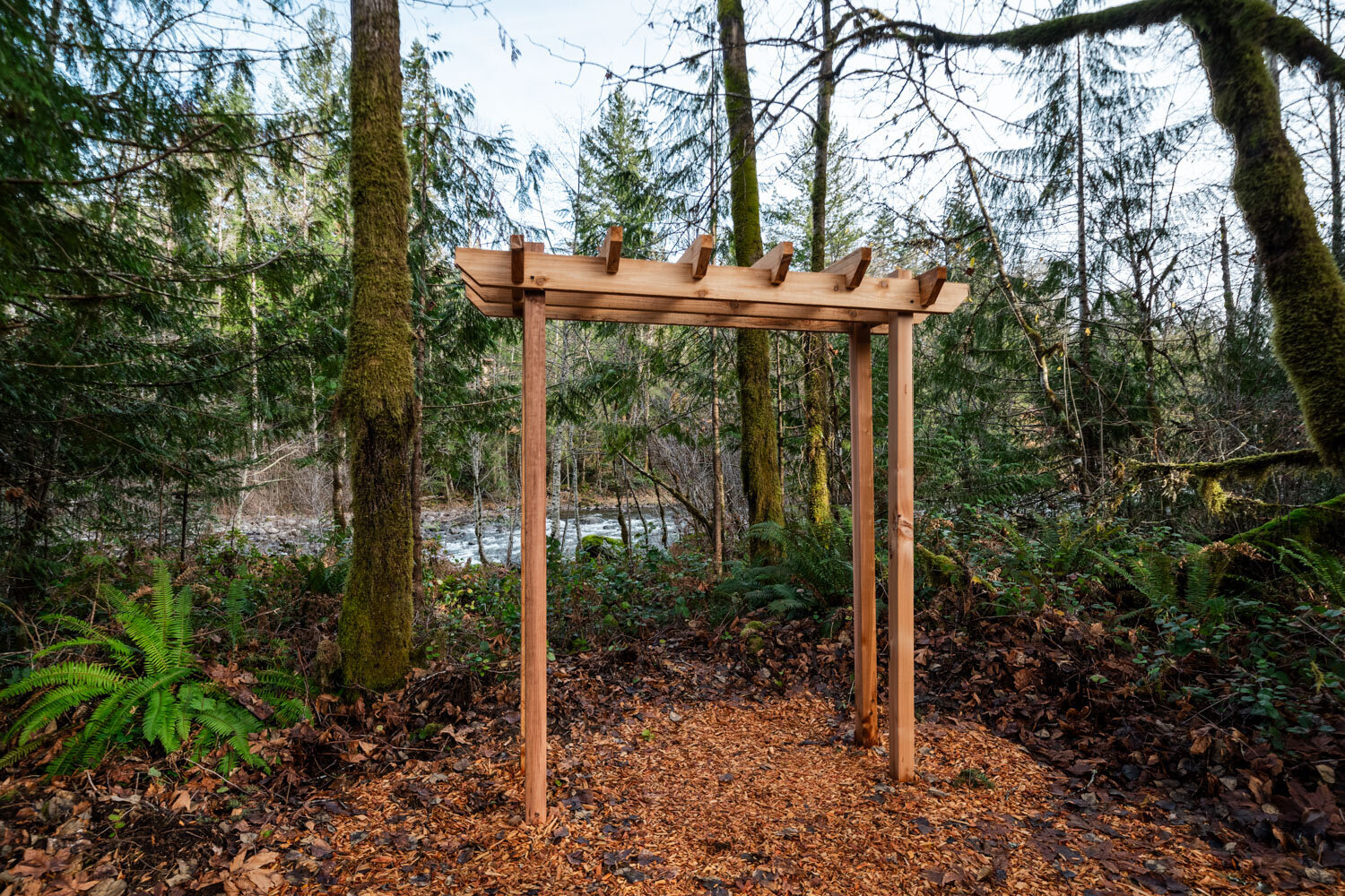 Wooden ceremony arch surrounded by lush green forest