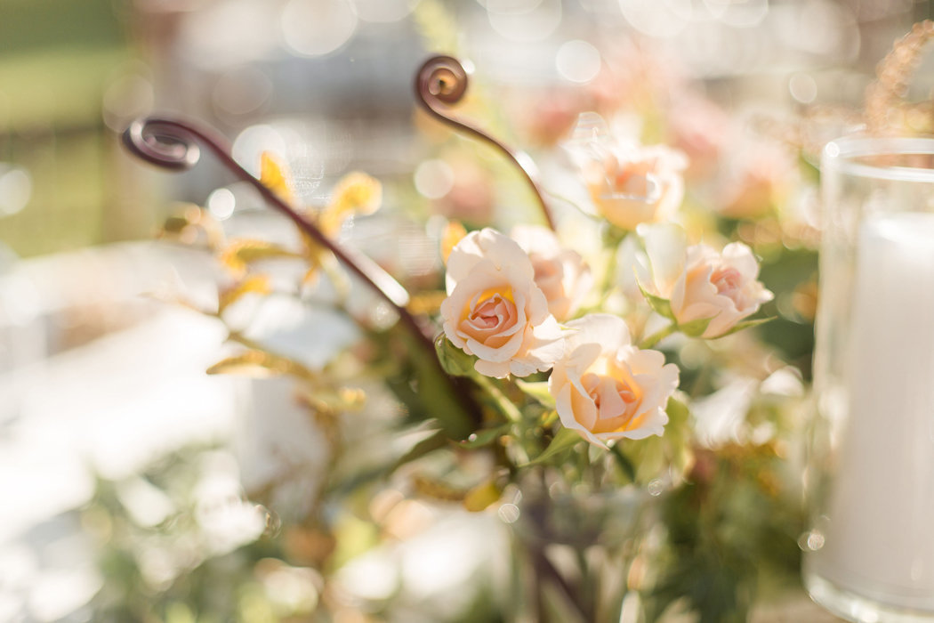 W0461_Haiku-Mill-wedding_Maui-Photographer_CaitlinCatheyPhoto_0158