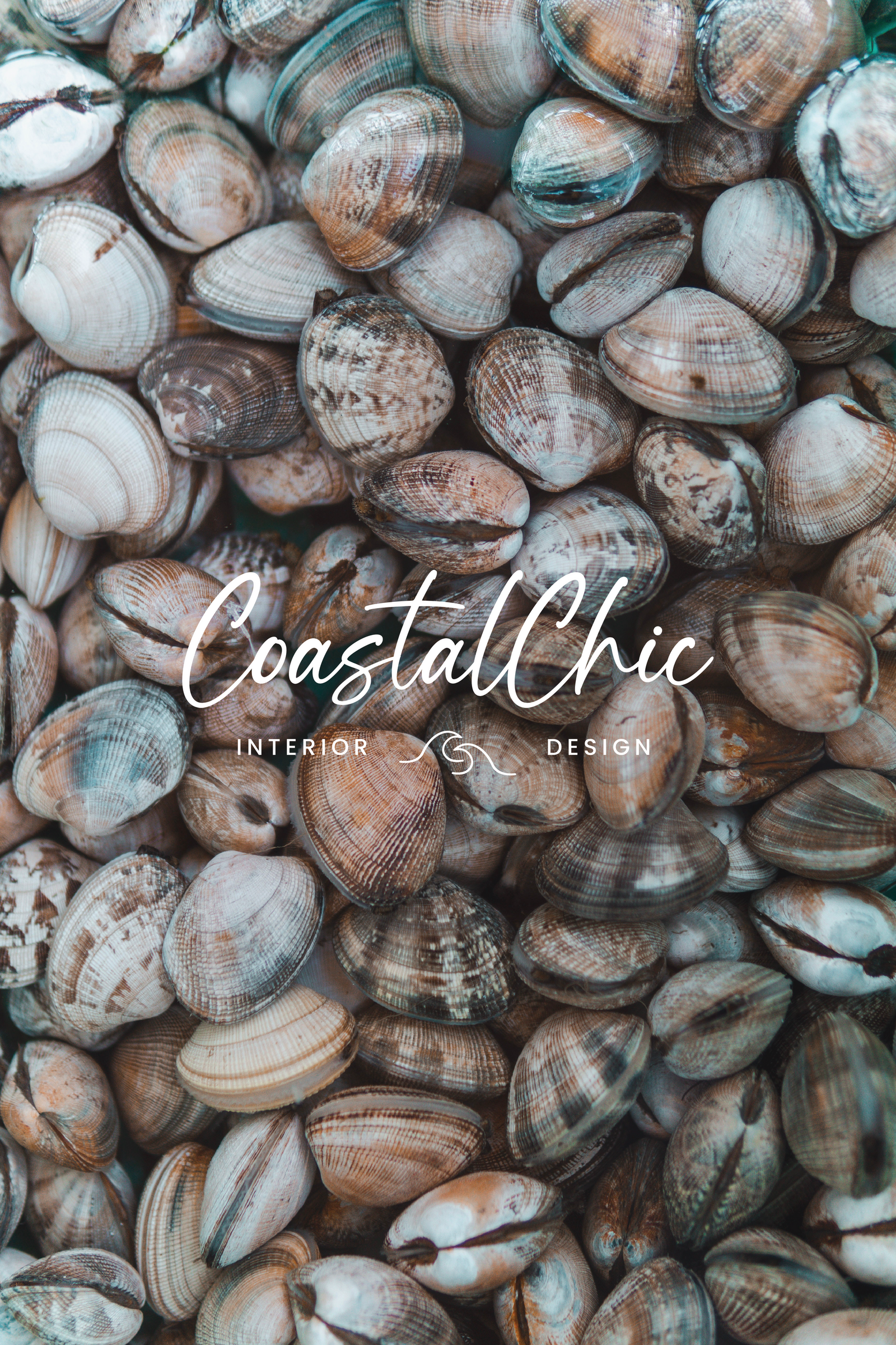 Coastal Chic mock ups-09