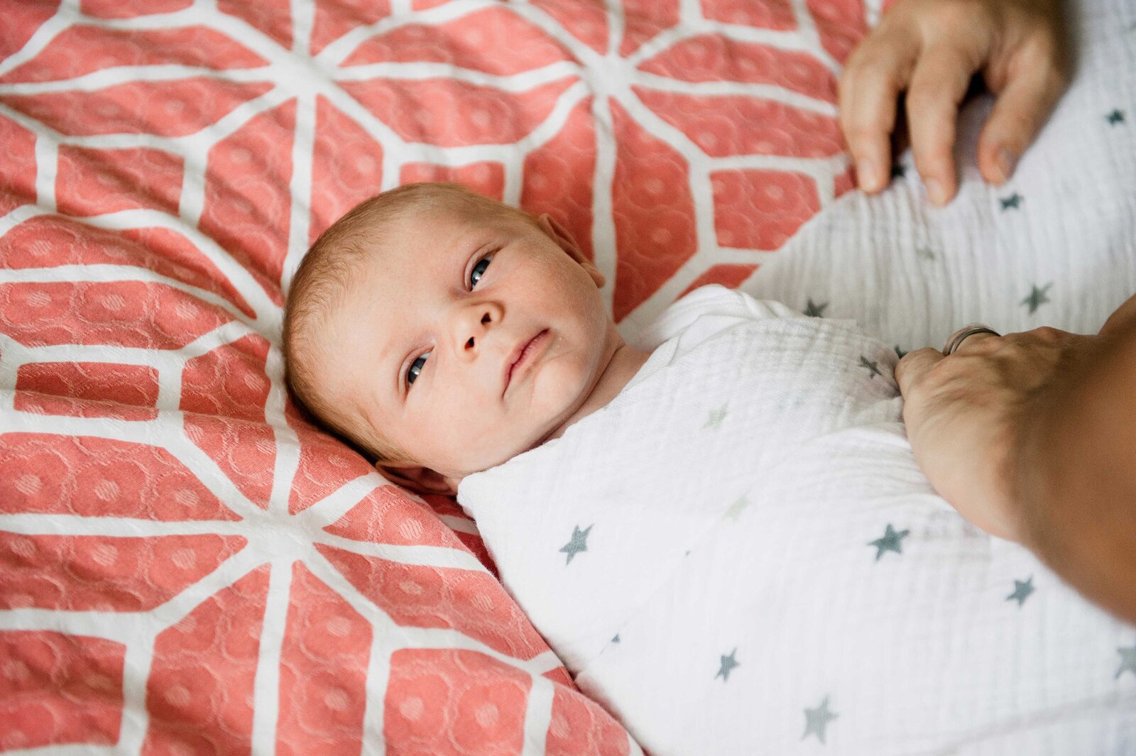 Newborn_Photography_Washington_DC_Minikin_Photography_5