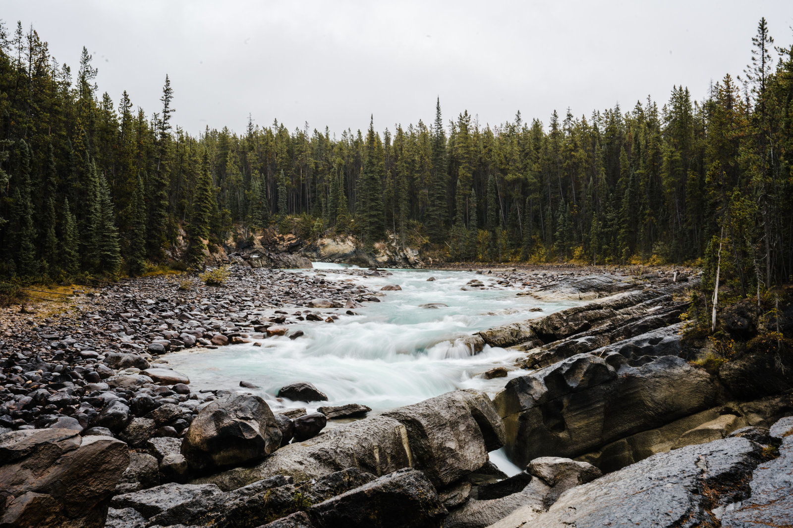 Banff_Jasper_National_Park_Sasha_Reiko_Photography-61