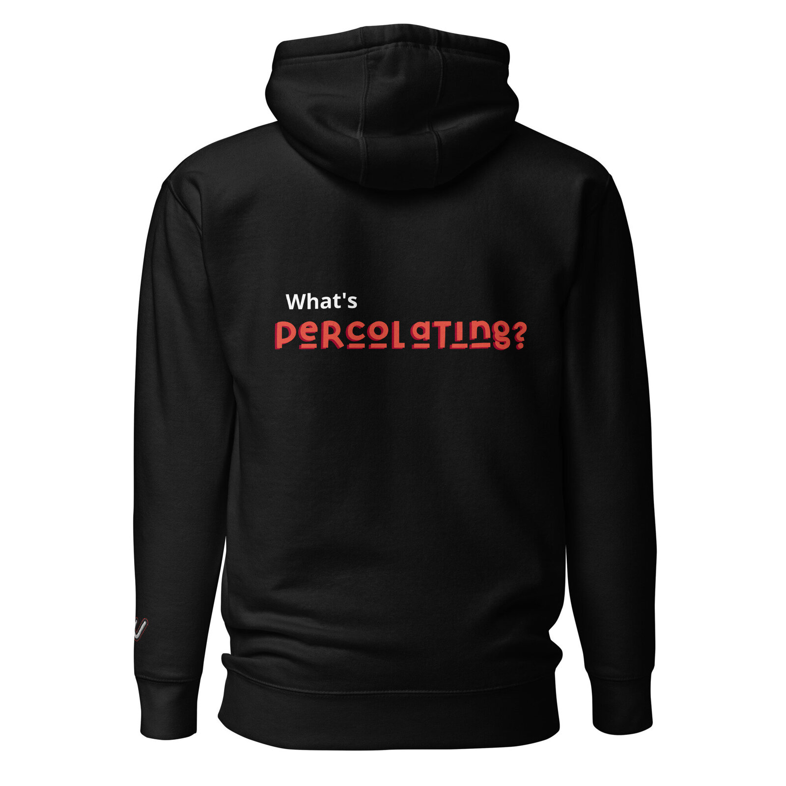 unisex-premium-hoodie-black-back-6513bac0efa17