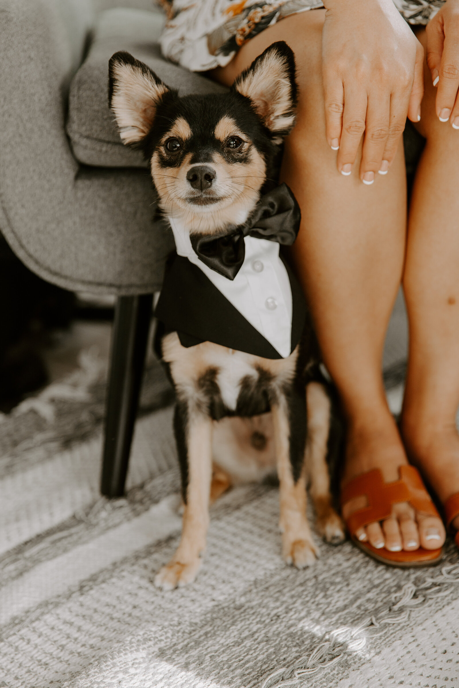 San Diego Wedding Photographer