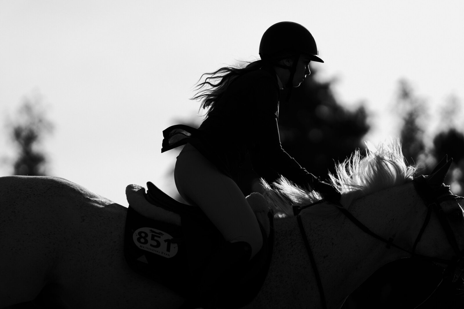 a black and white silhouette image of an english rider captured by an equine private client photographer in ontario