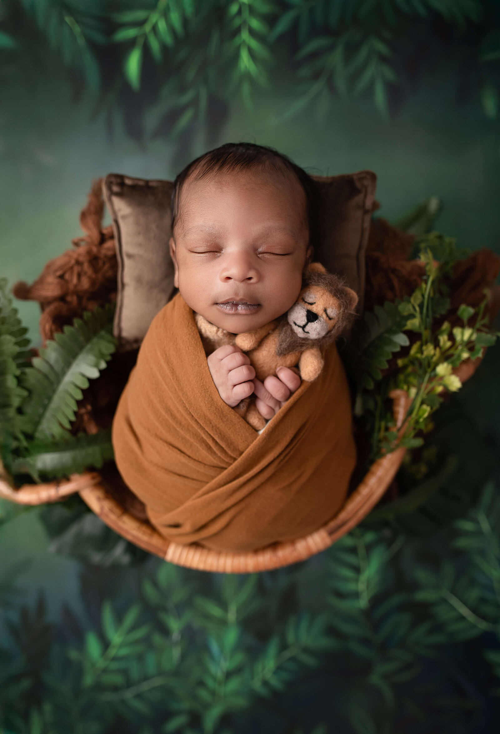 Jacksonville_newborn_photographer_15