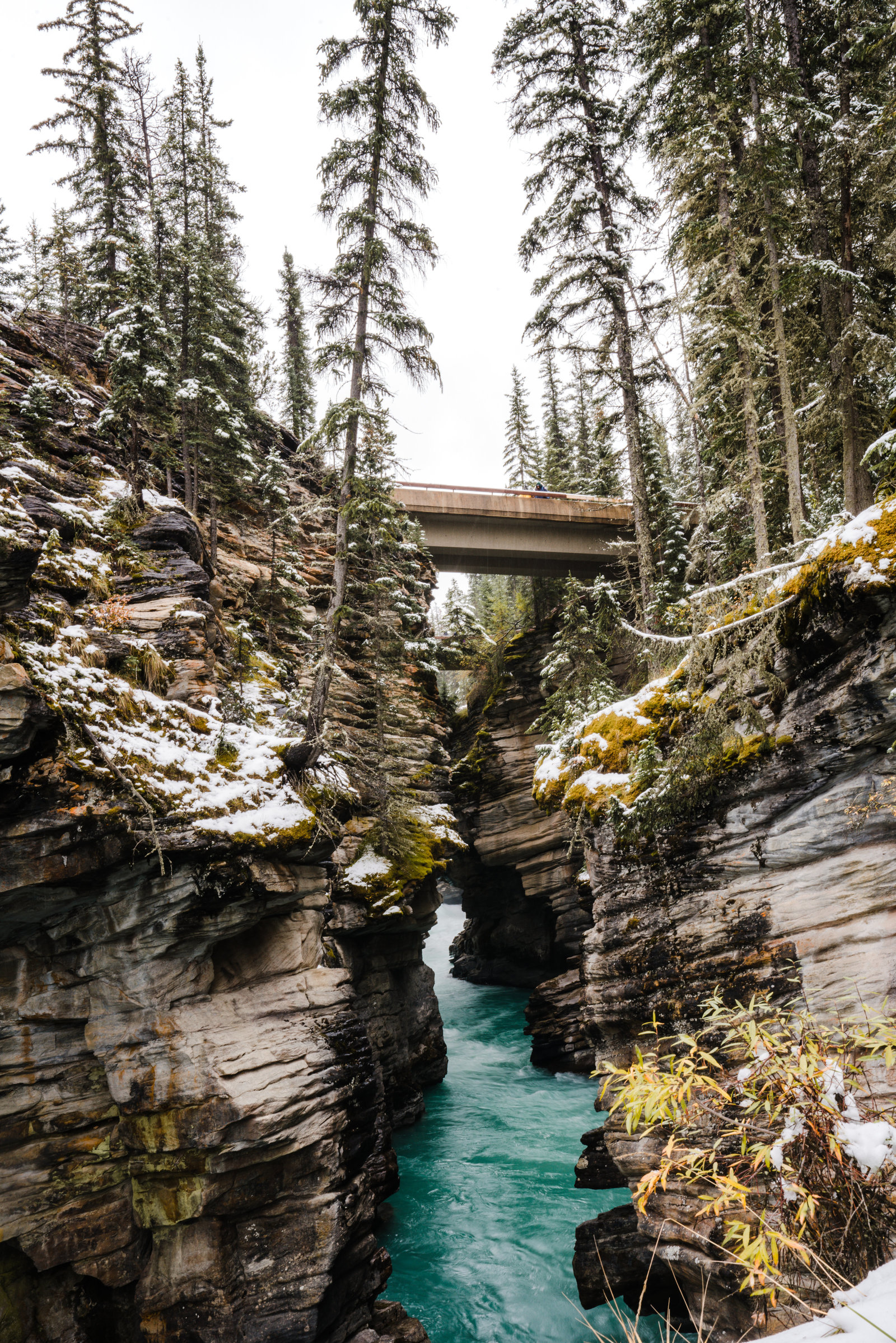 Banff_Jasper_National_Park_Sasha_Reiko_Photography-118