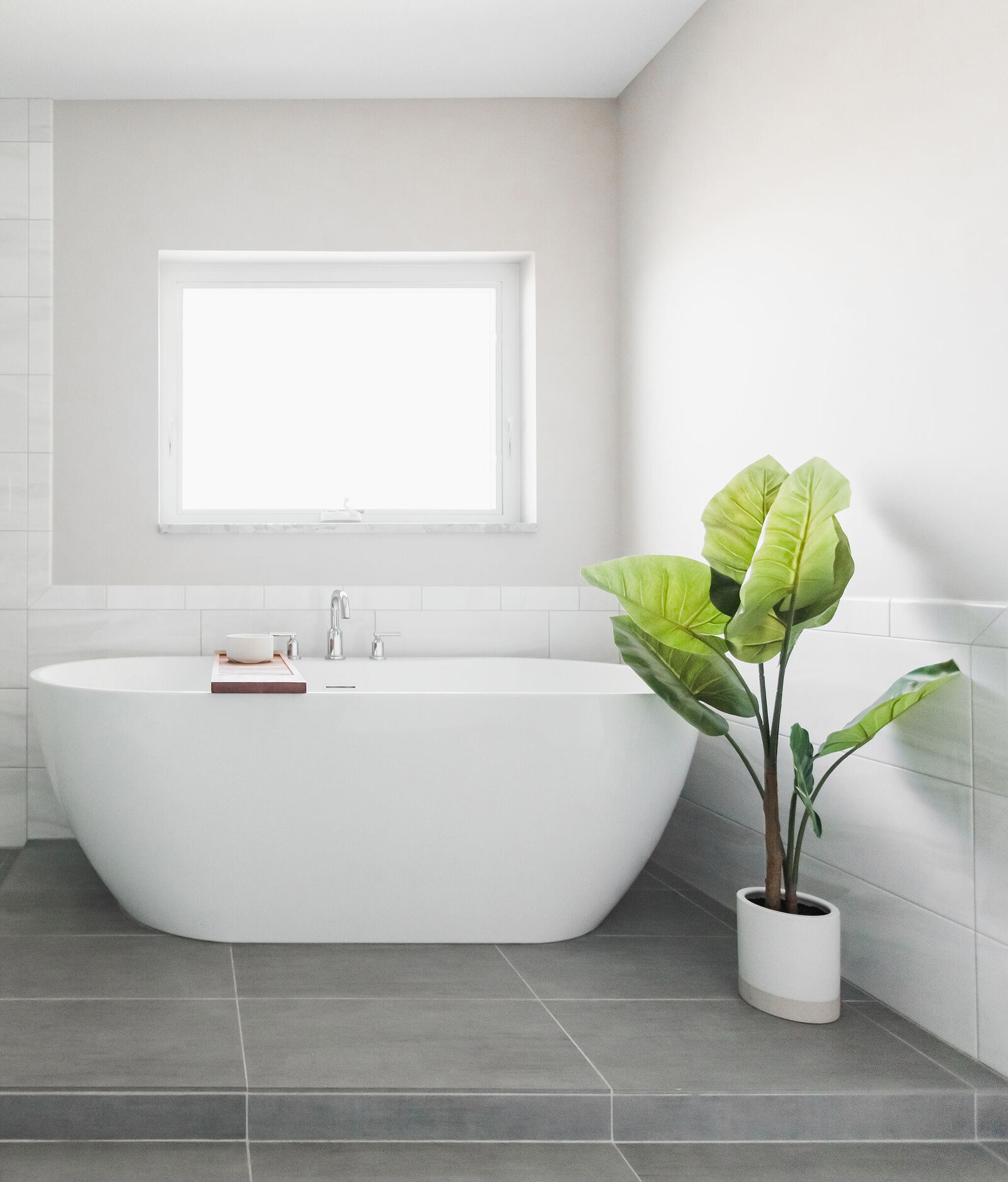 bath plant