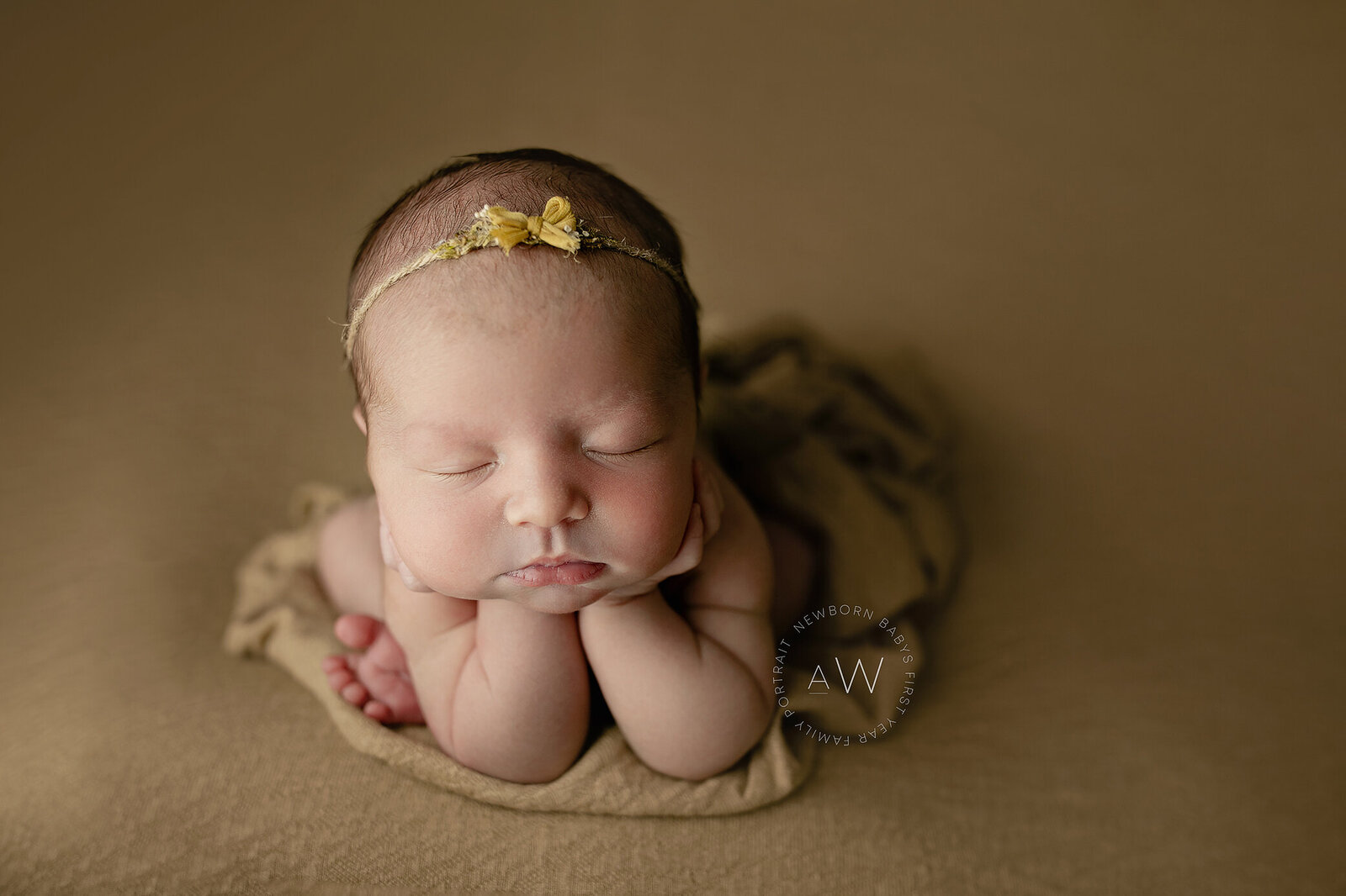 louisville newborn photographer