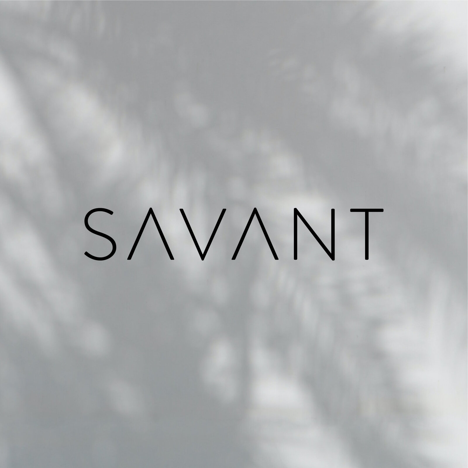 SAVANT-SOCIAL-01
