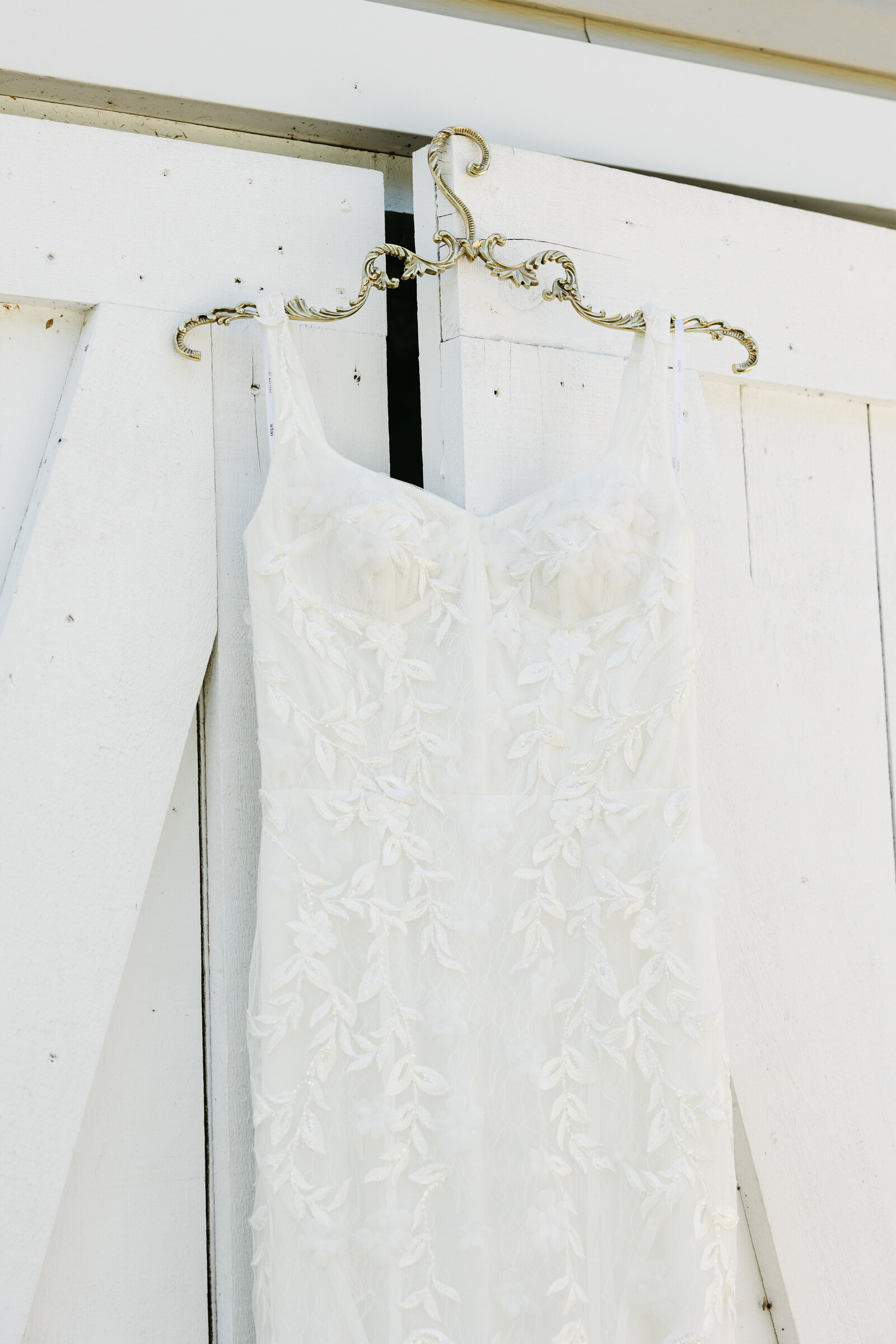 Monica & Alexi's Wedding - Lance Photography 3