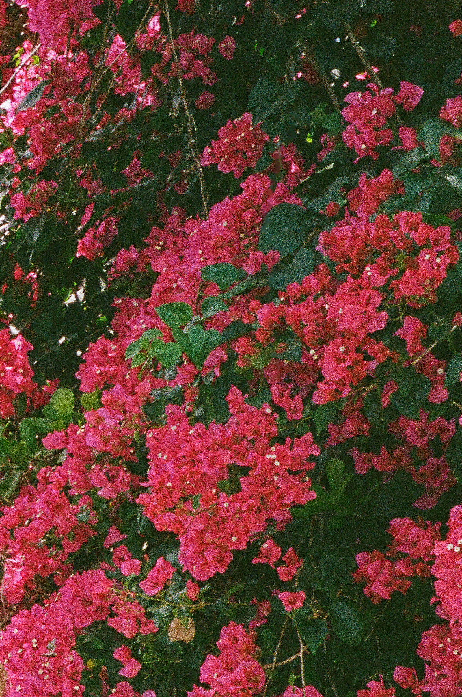 000297670026