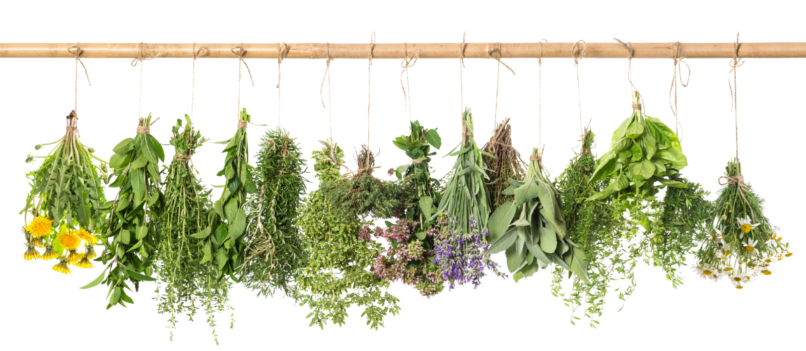 masterclass instagram