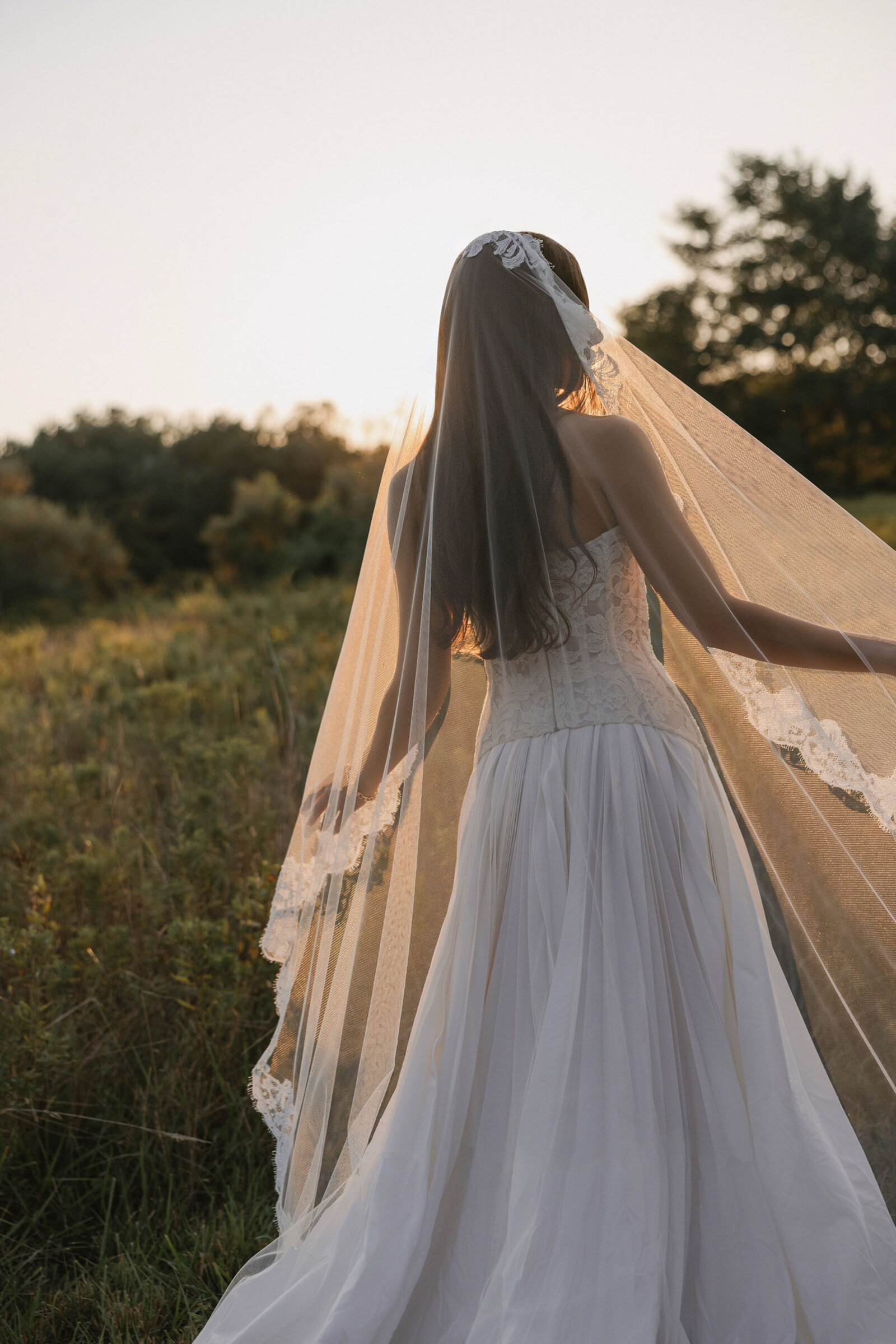 Portrait from behind of bride lightly holding lace trimmed veil out to her sides while setting sun glows through it 