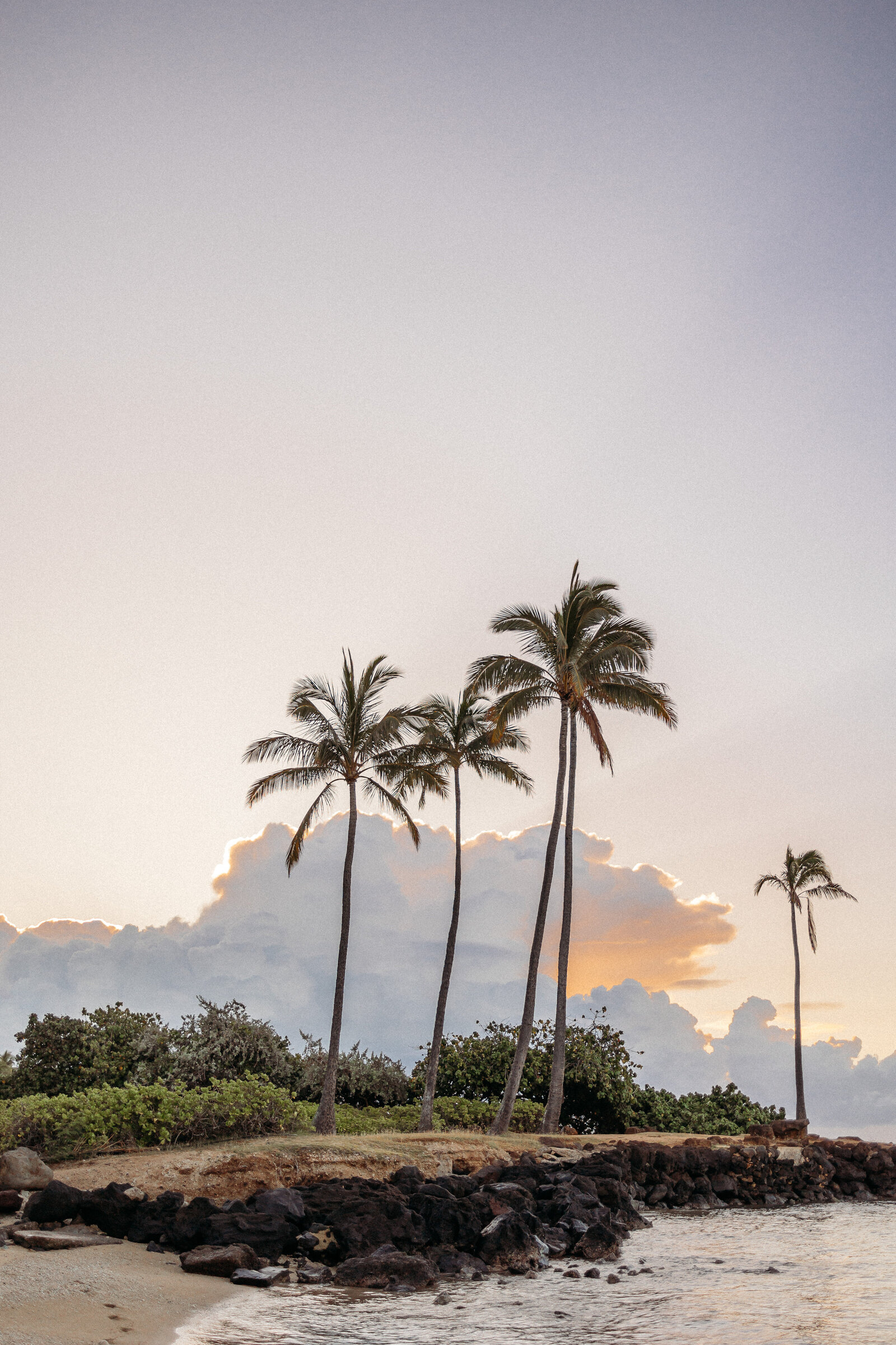 kahala-beach-graduation-portraits-39