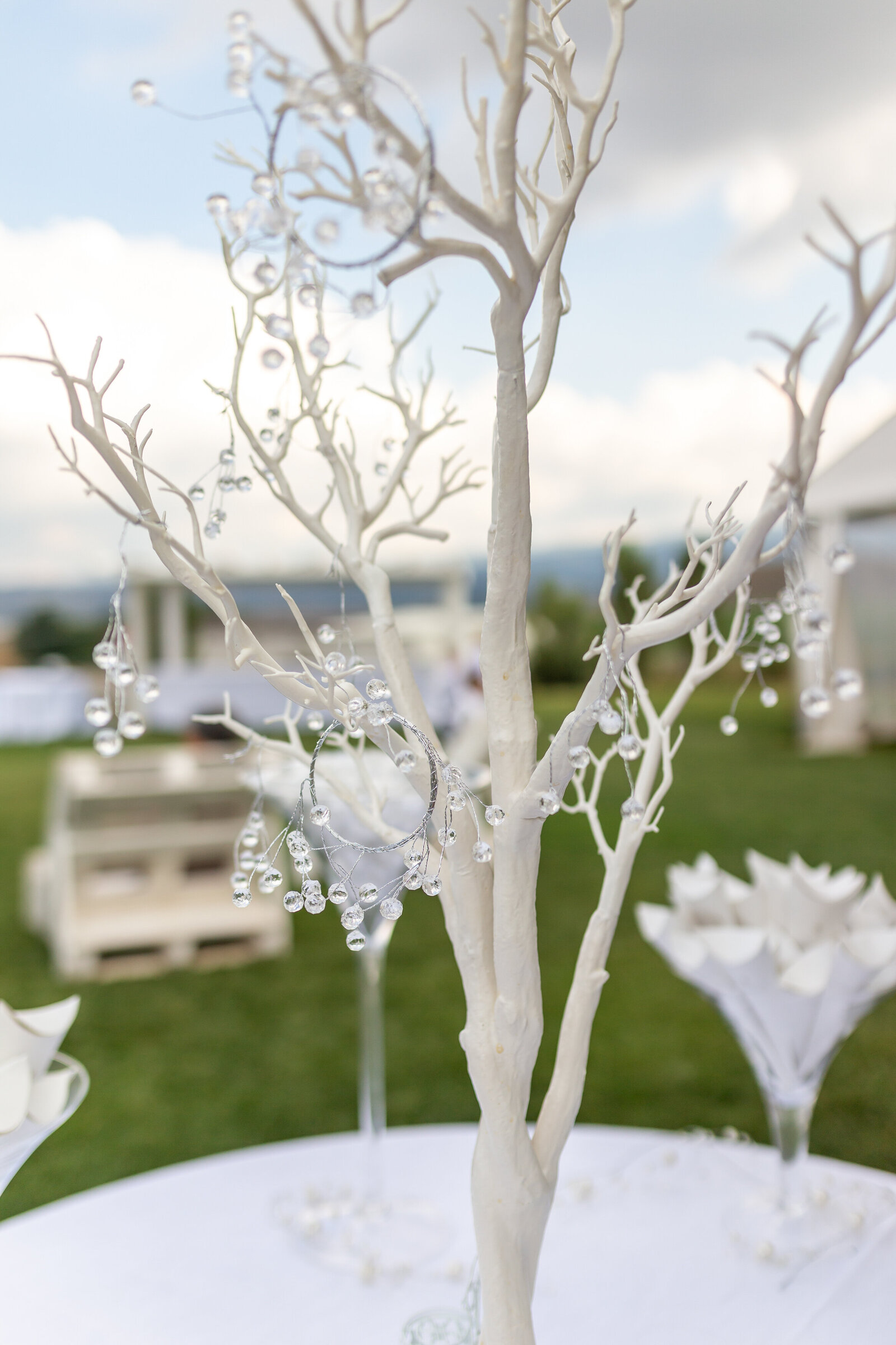 Wedding photography EeP-54