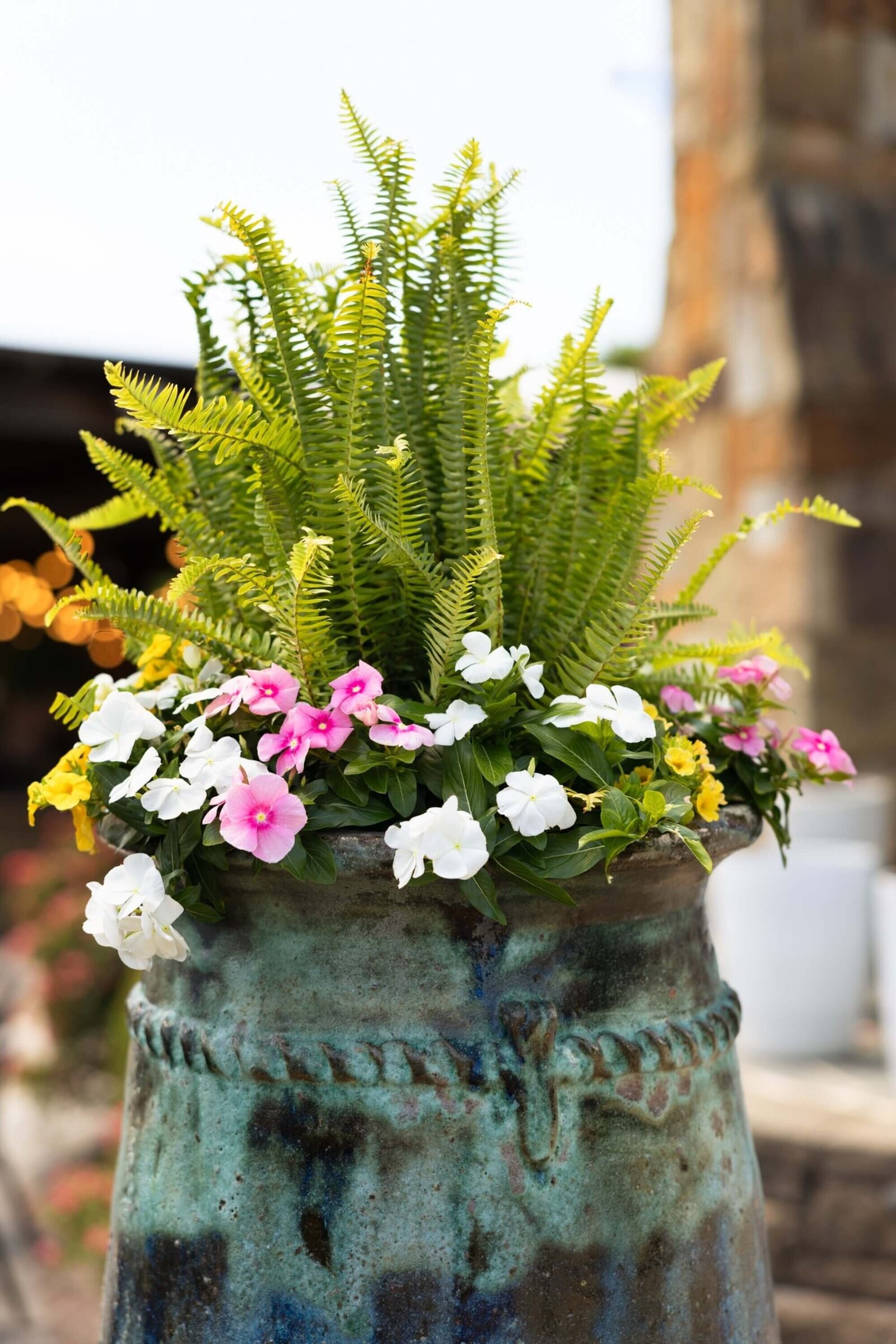 tall-green-fern-flower-pot-seasonal-color-little-rock