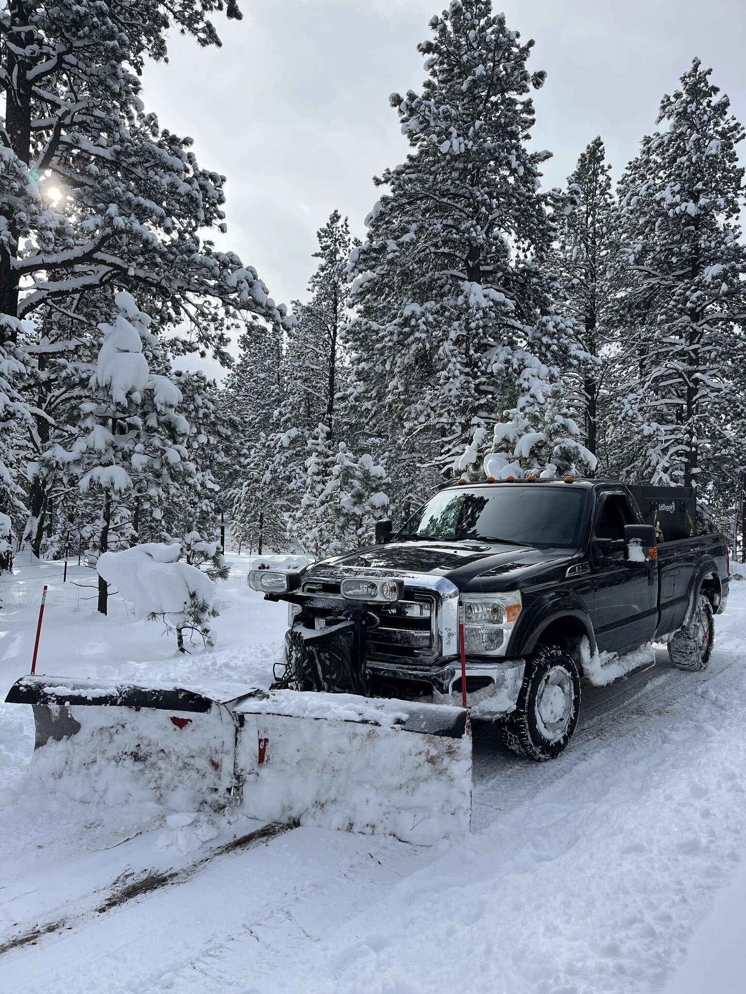 510354975_122093892500930293_1252051988499588429_n