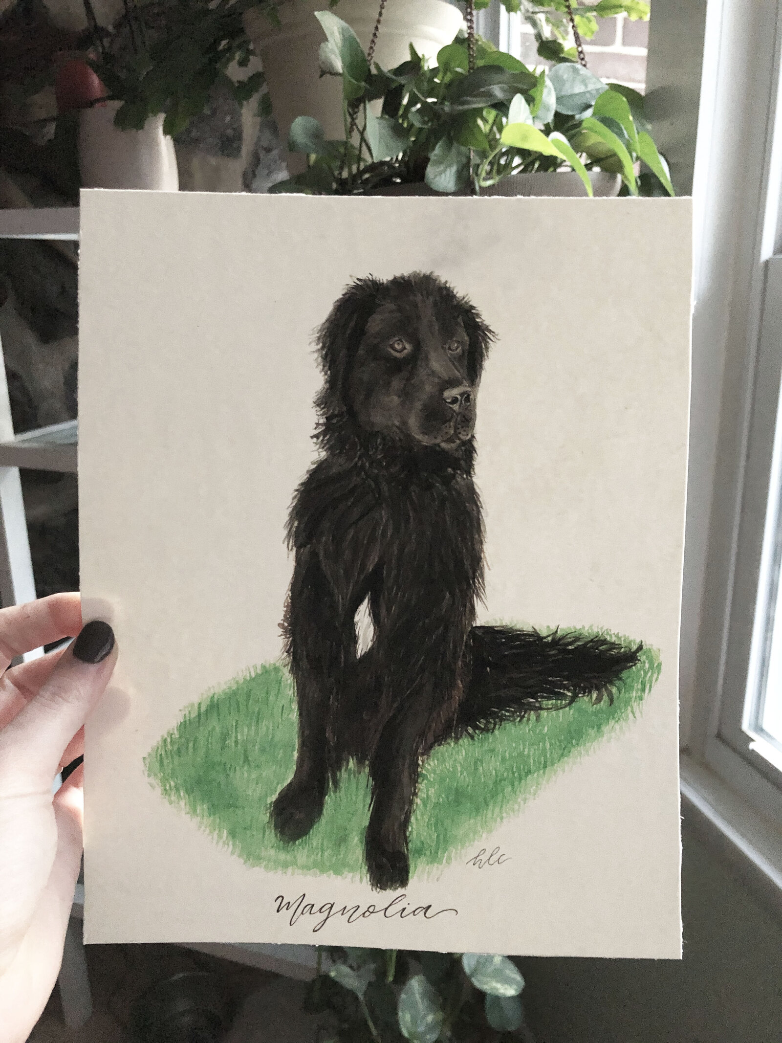 Newfoundland Watercolor Painting
