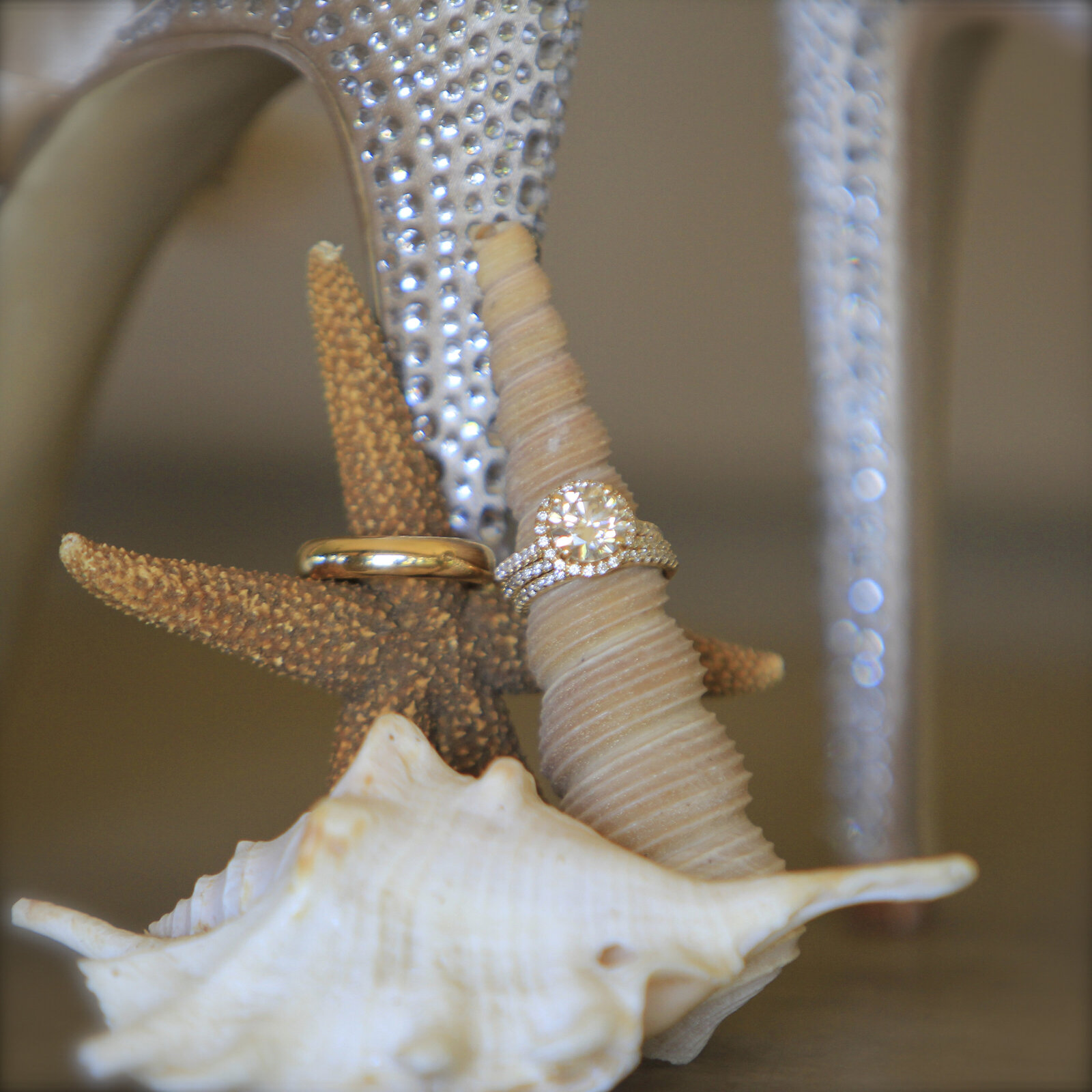 Caroline Morey Wedding Photographer Maui Destination Wedding Olowalu Plantation Wedding110413_0153456 x 3456