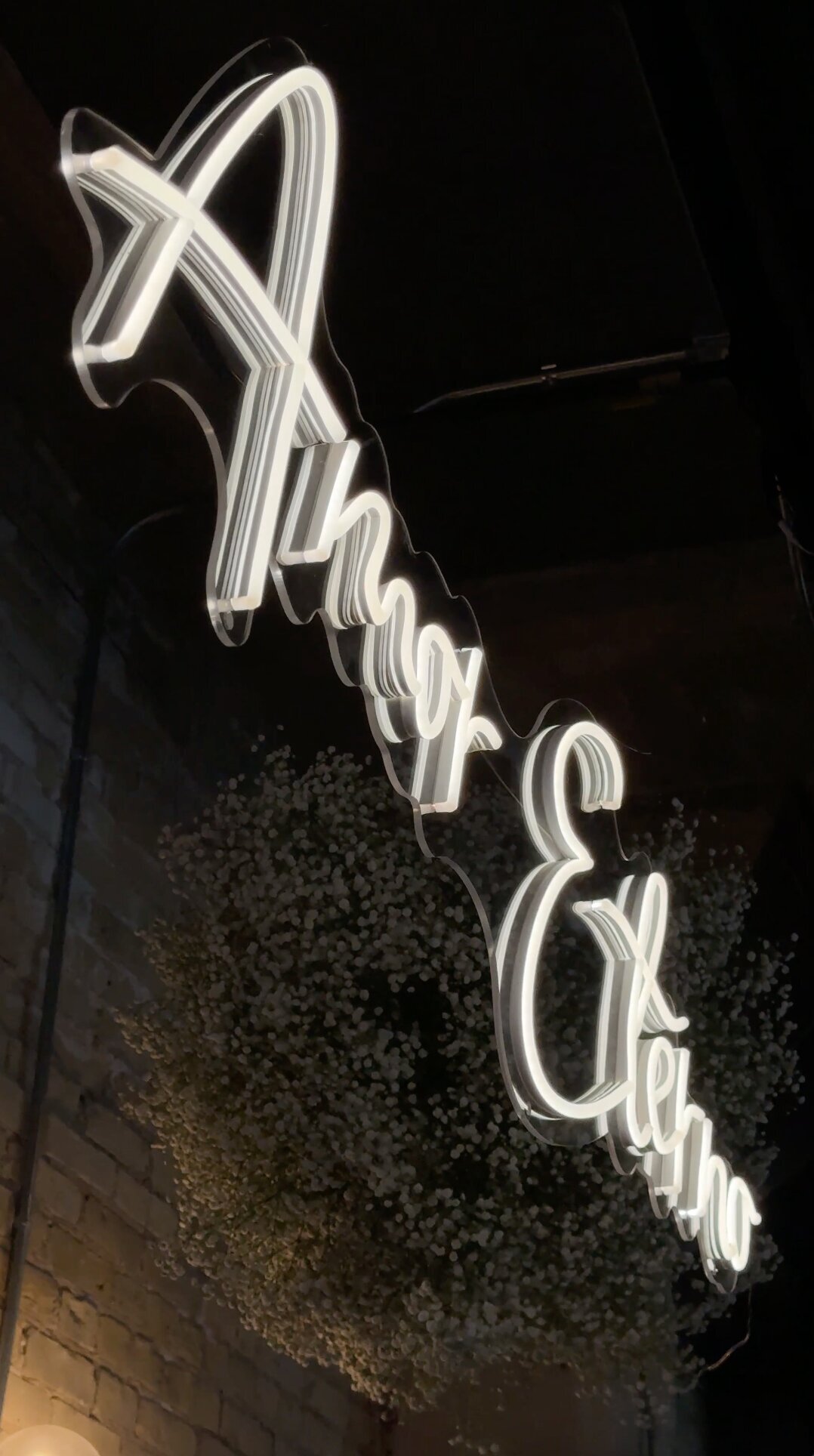 NEON 6