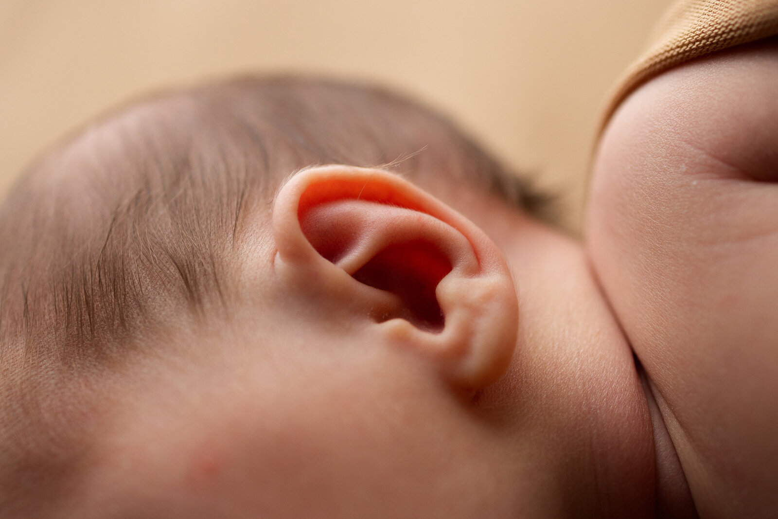 Close up detail photo of newborn baby's ear