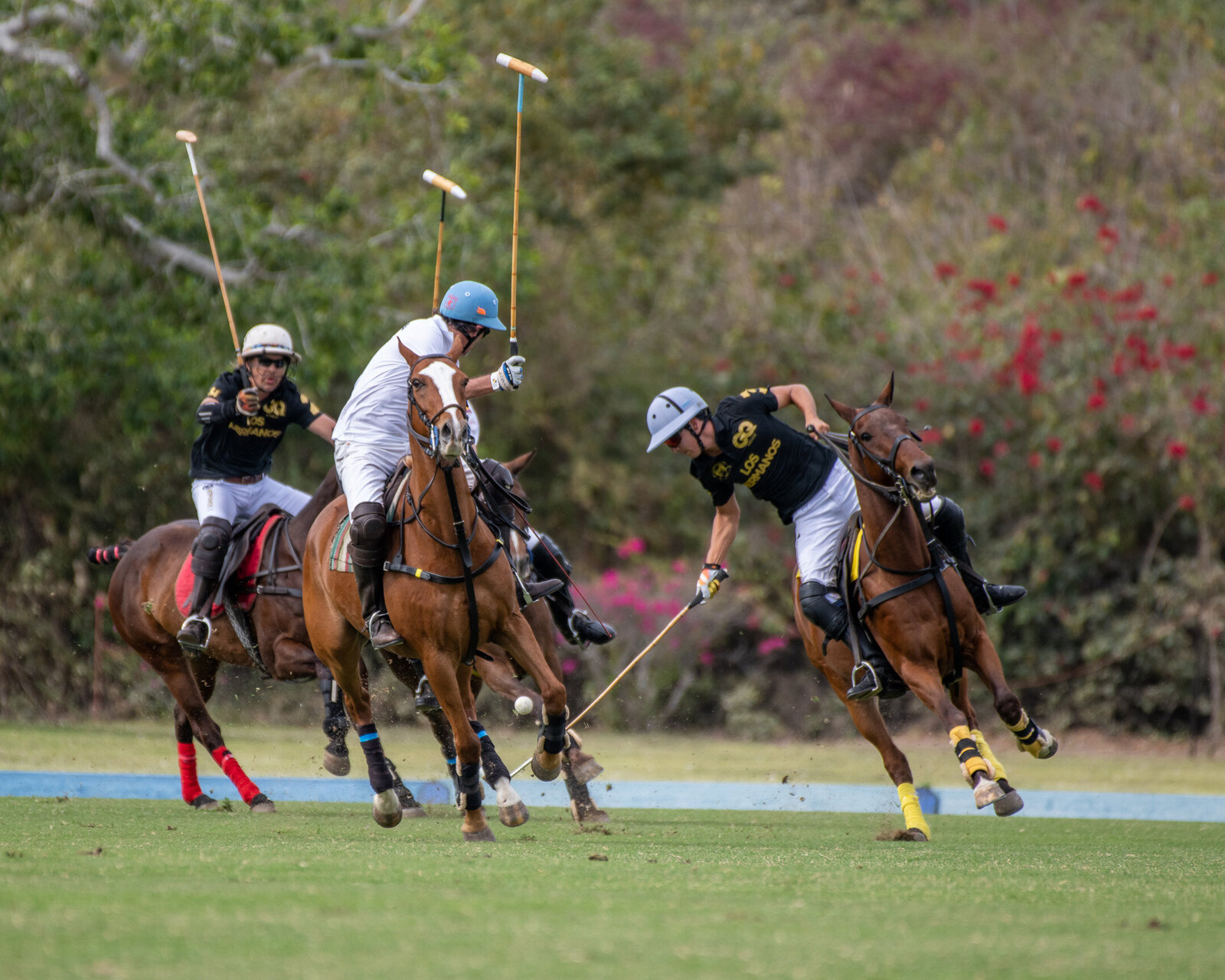 Polo-Copa-Agua-Alta_Pololife-Careyes- 04-04-23 17 08 52