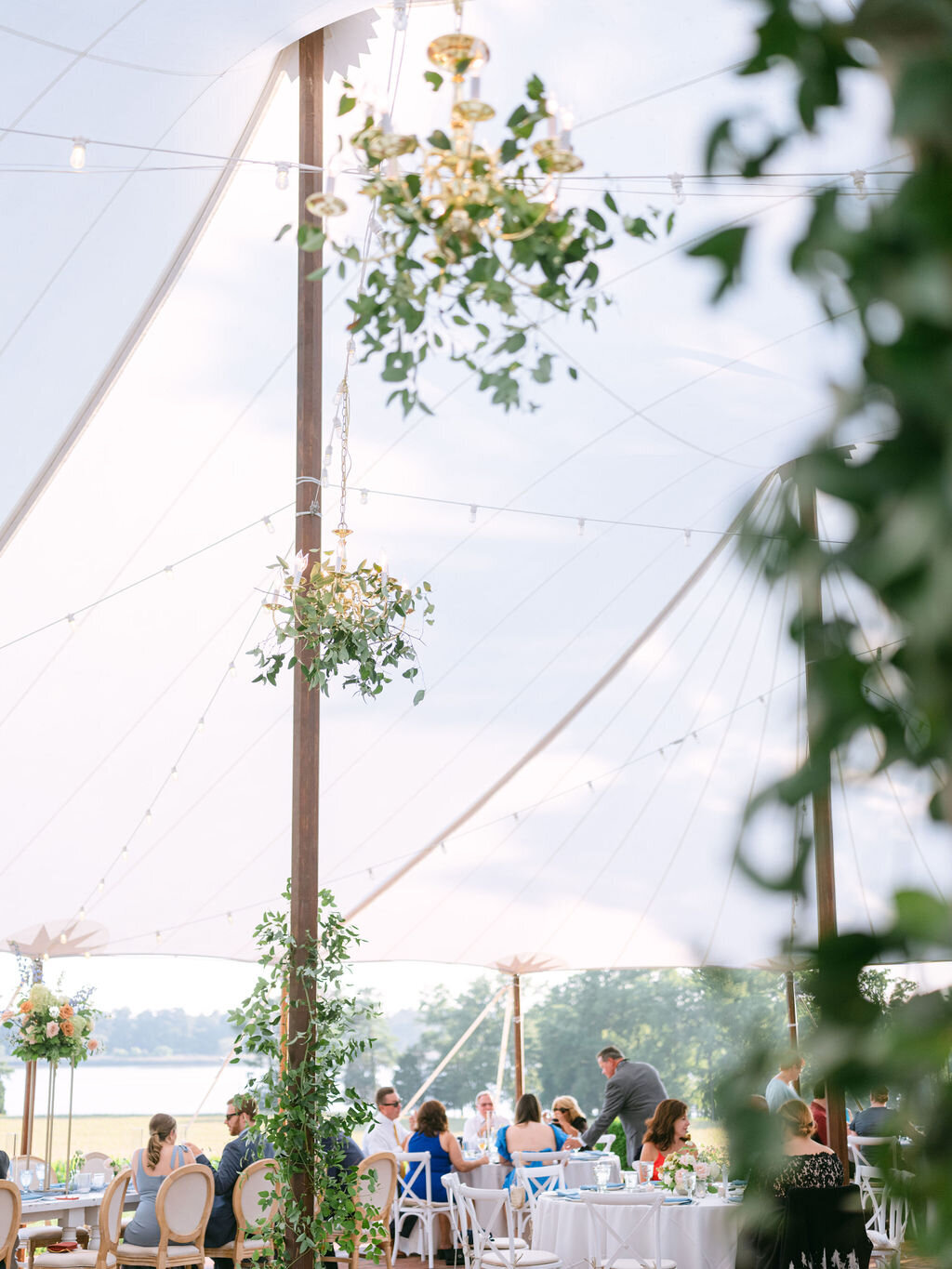 Smilax greenery hanging on gold chandeliers and up the polls of the tented reception.
