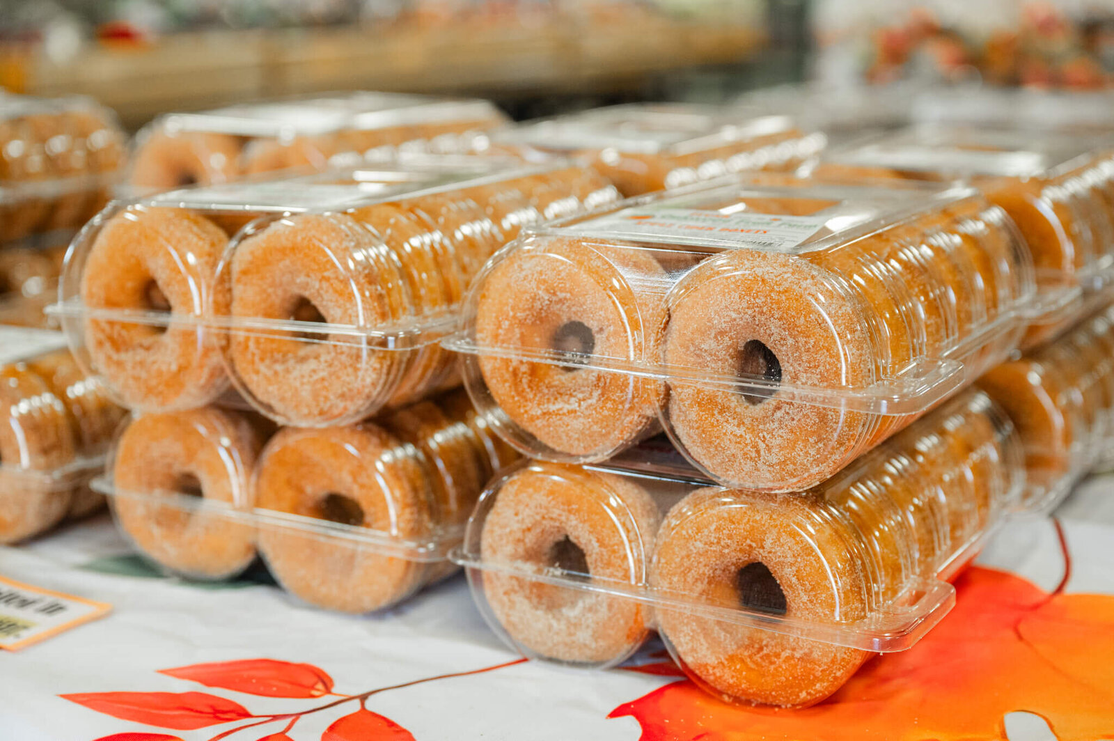 Apple-Cider-Donuts-Richland-Center-Wisconsin-174