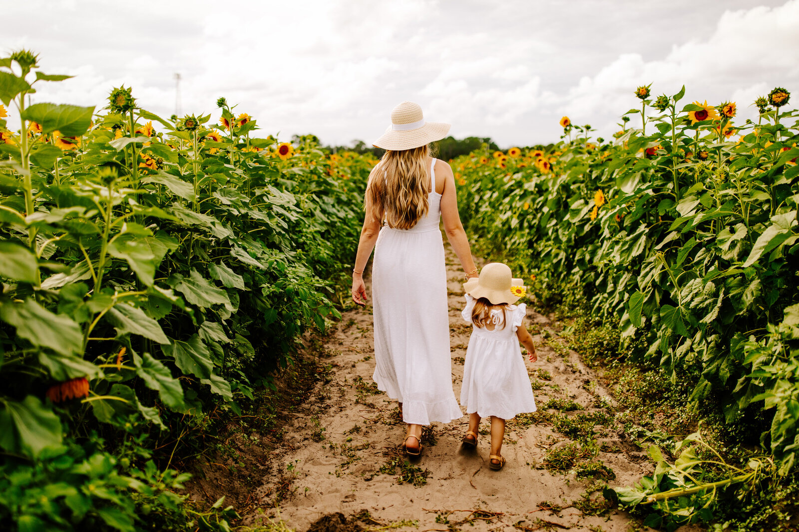 BRITTANY+EMMA_SUNFLOWER FIELD_SYKES FARMS ST AUGUSTINE_NATIVE EXPRESSIONS-27