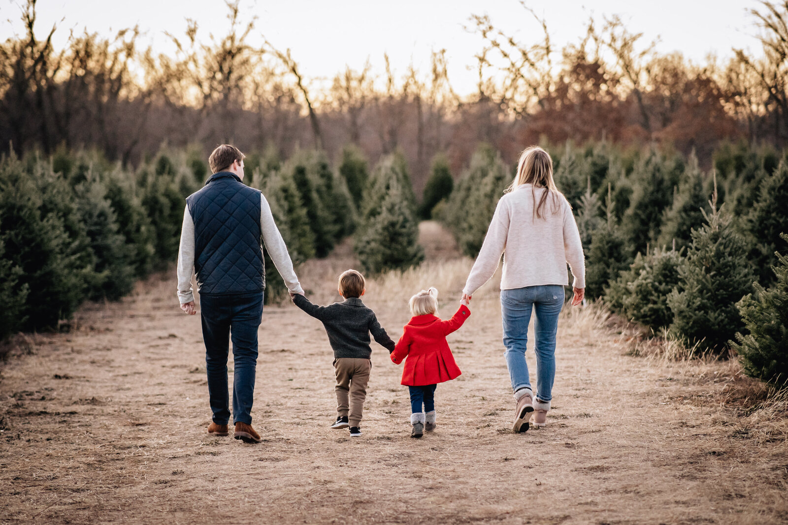 A scenic family photo taken during a walk through a field of evergreen trees at sunset.