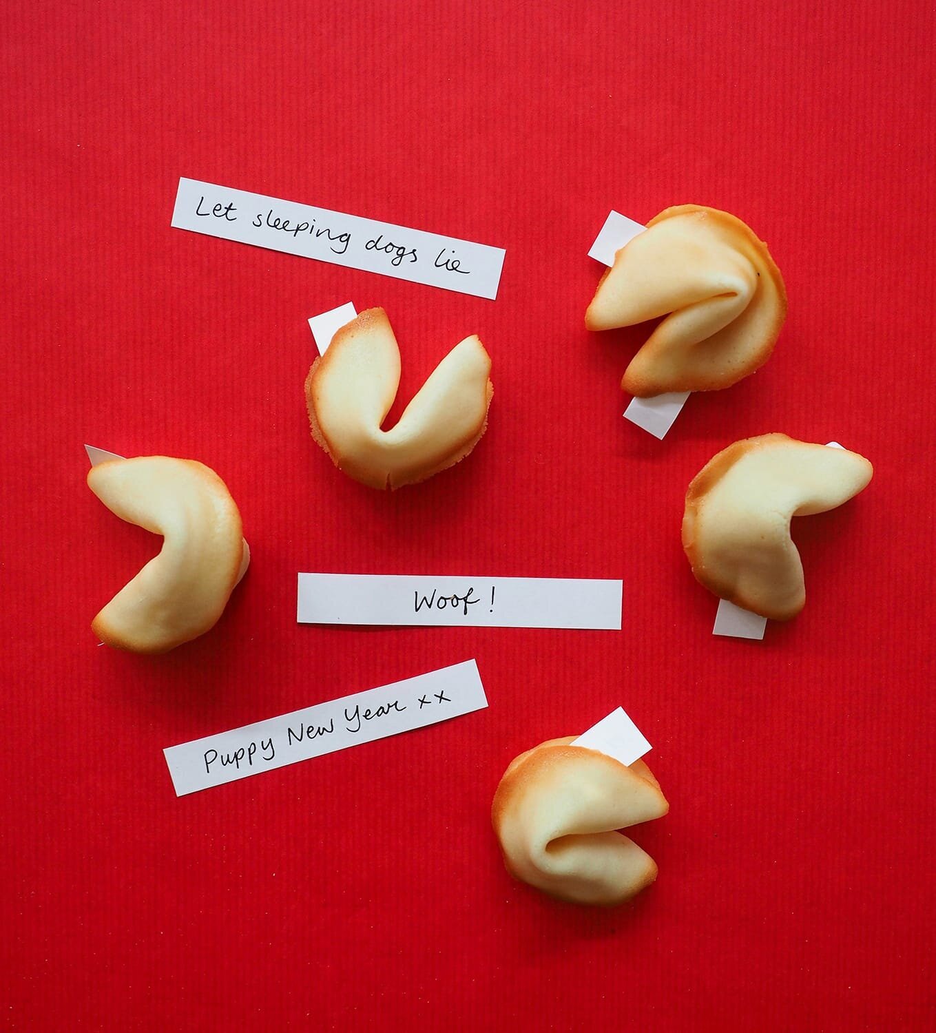 fortune cookies on red_flat