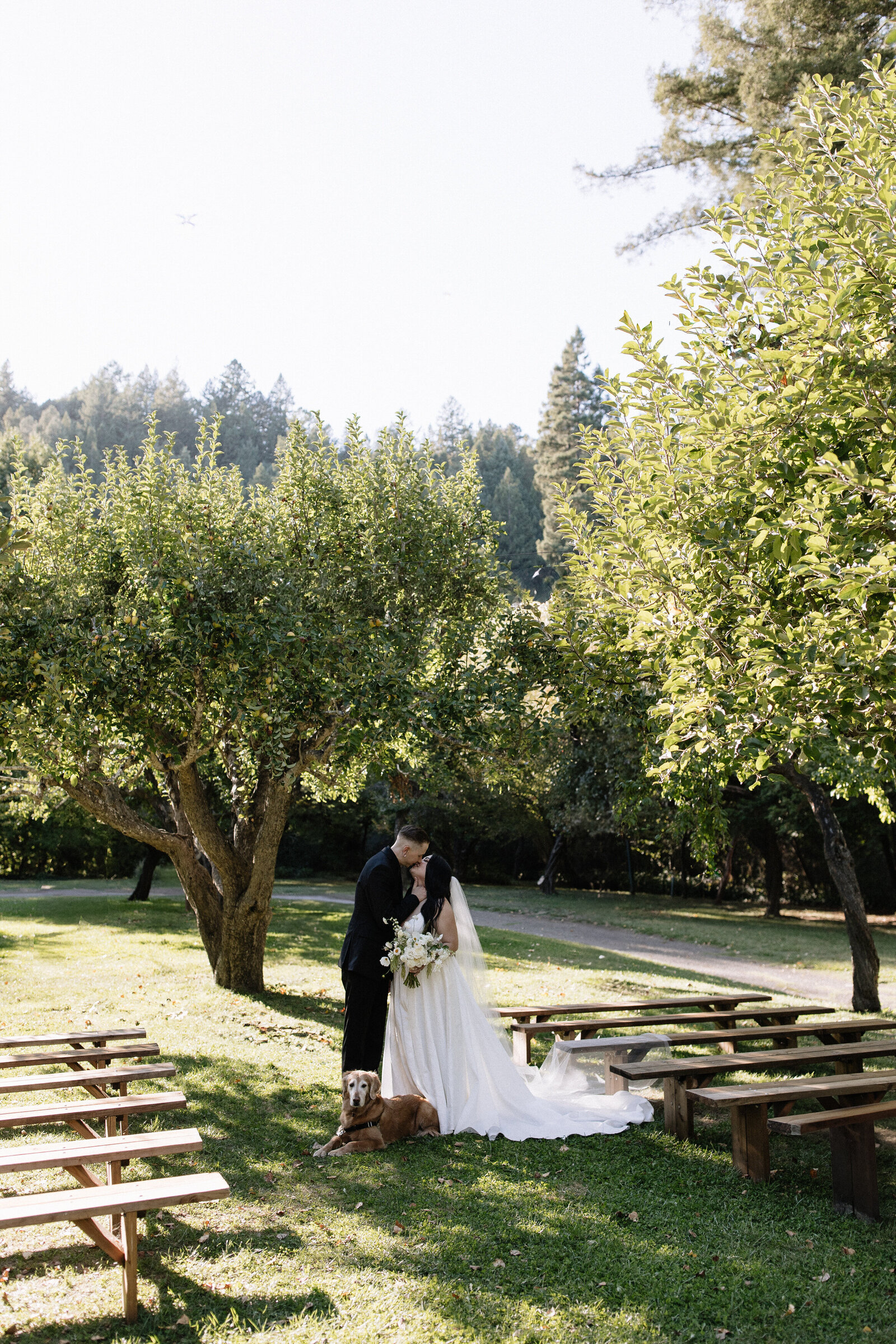 Wedding portraits in apple orchard taken by Erica Rochelle, best Northern California wedding photographers