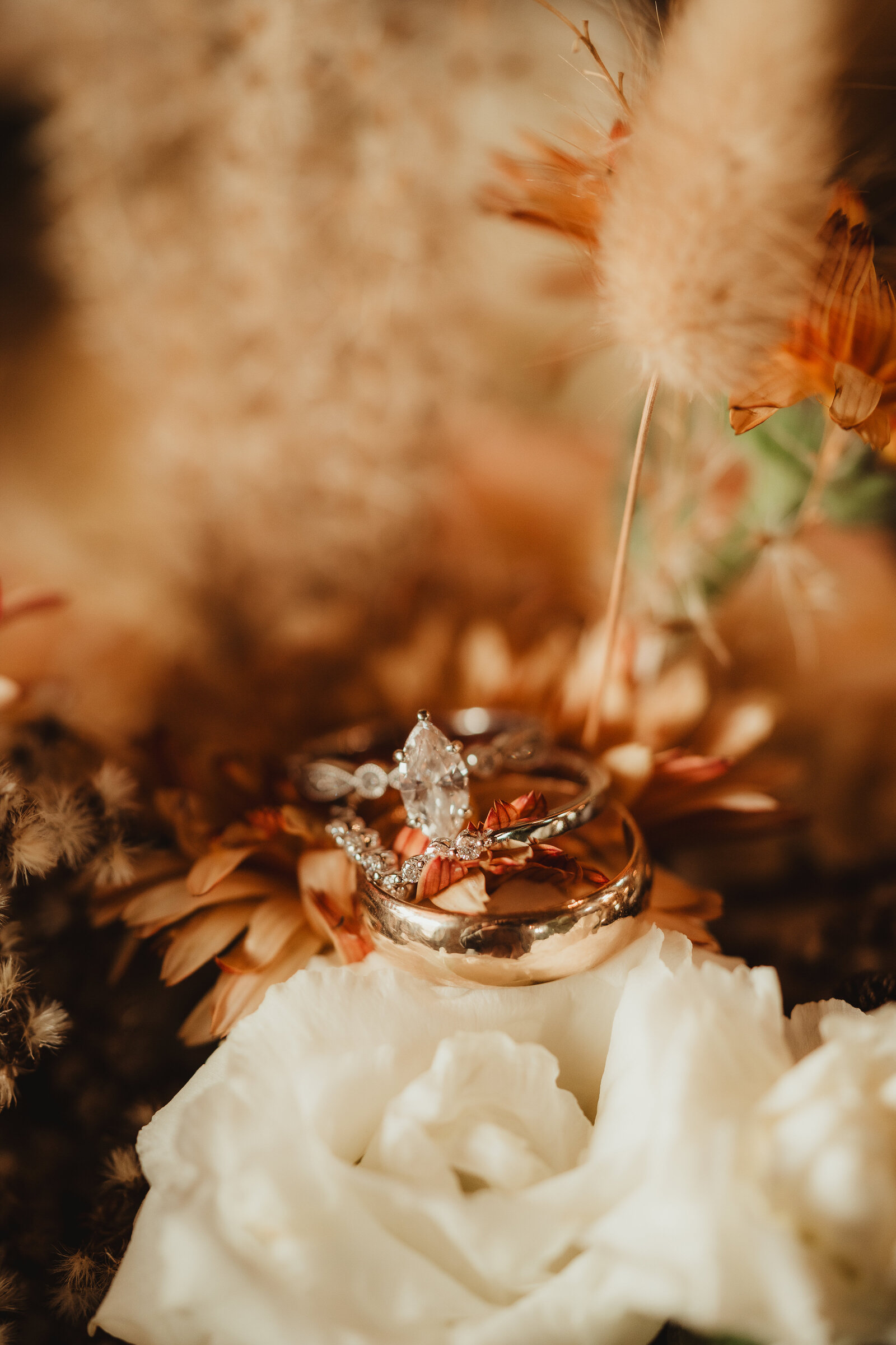 Kelly&JakeWeddingFinals-19