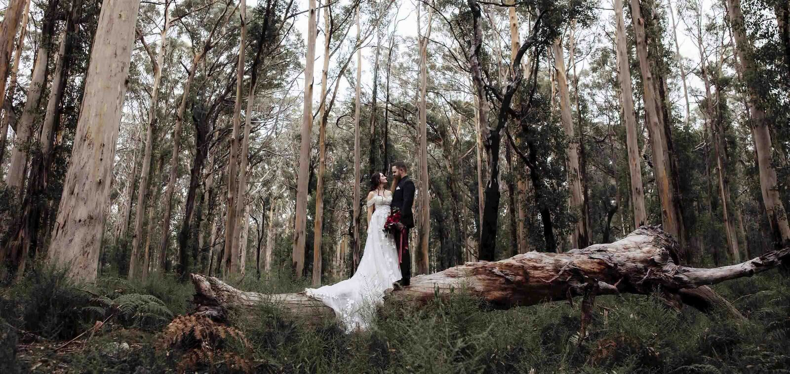 BoranupForest.WesternAustralia2