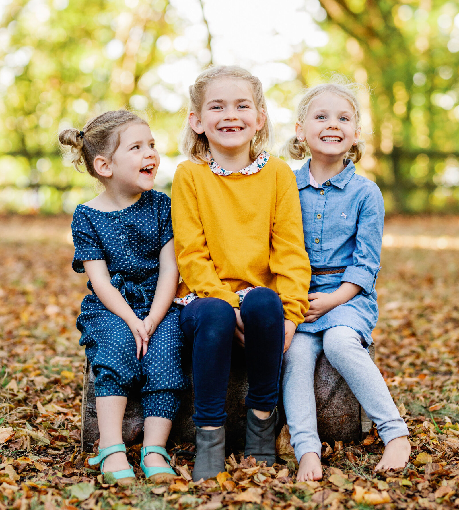 seattle-mini-sessions-2023-2