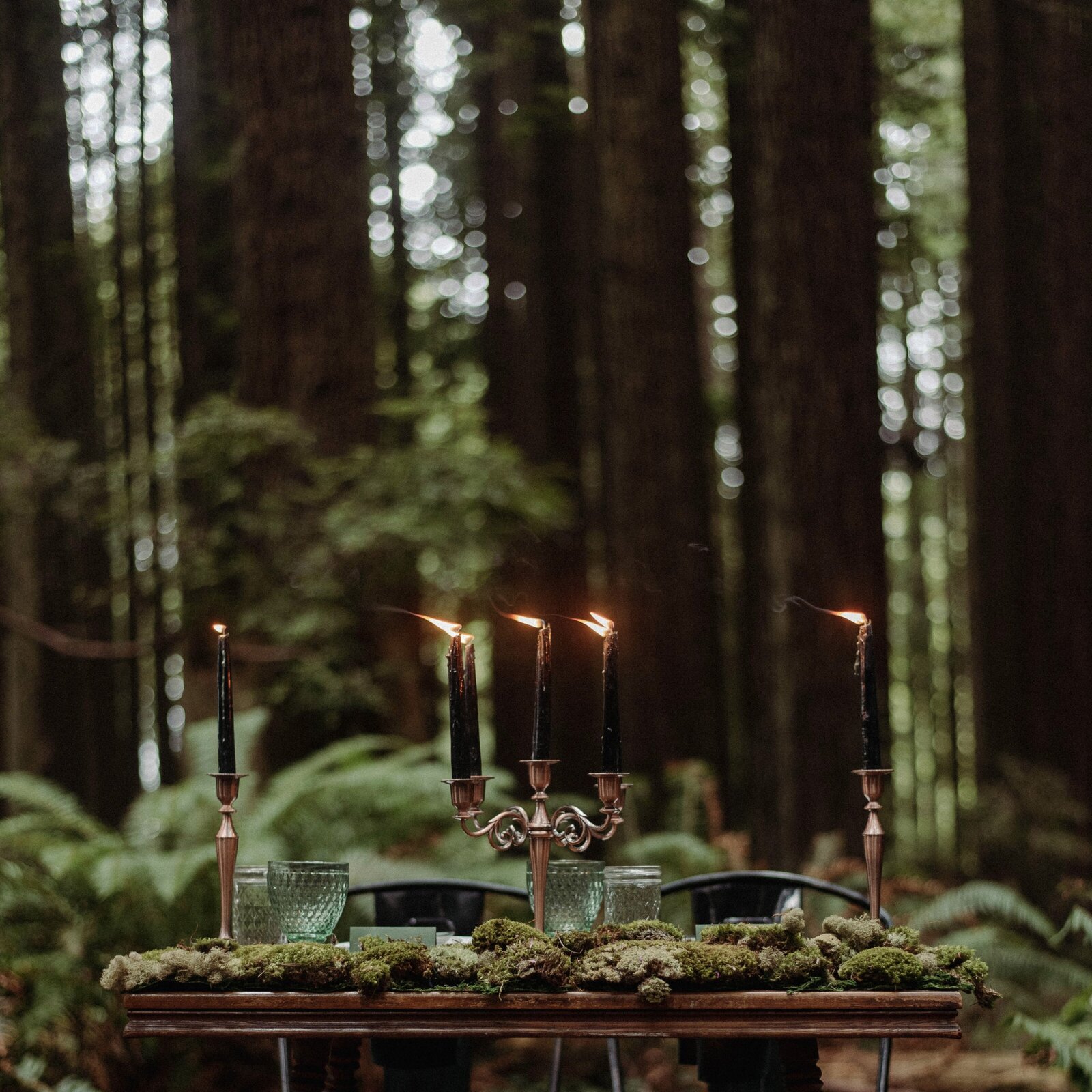 California Elopement Photographer