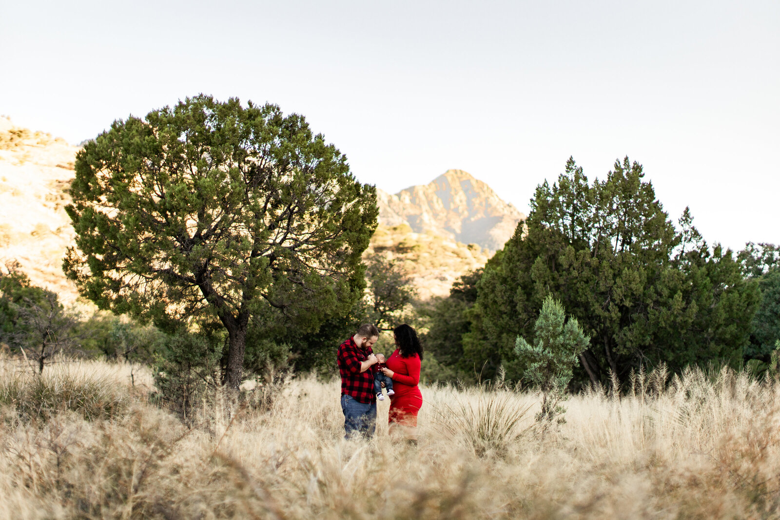 Madera Canyon Tucson, Arizona family photo shoot with trees and mountains